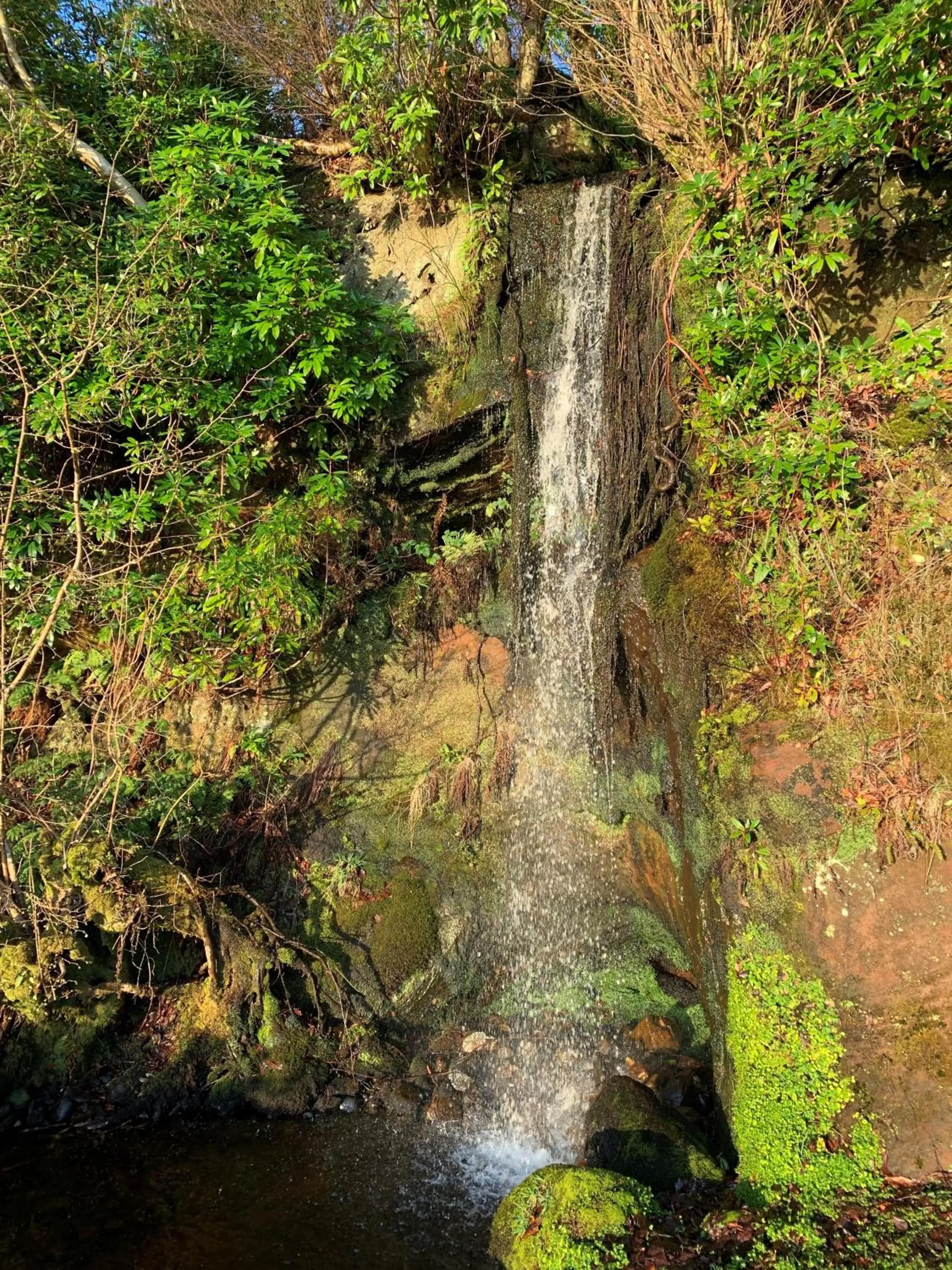 Natural landscape in The Corrie Hotel