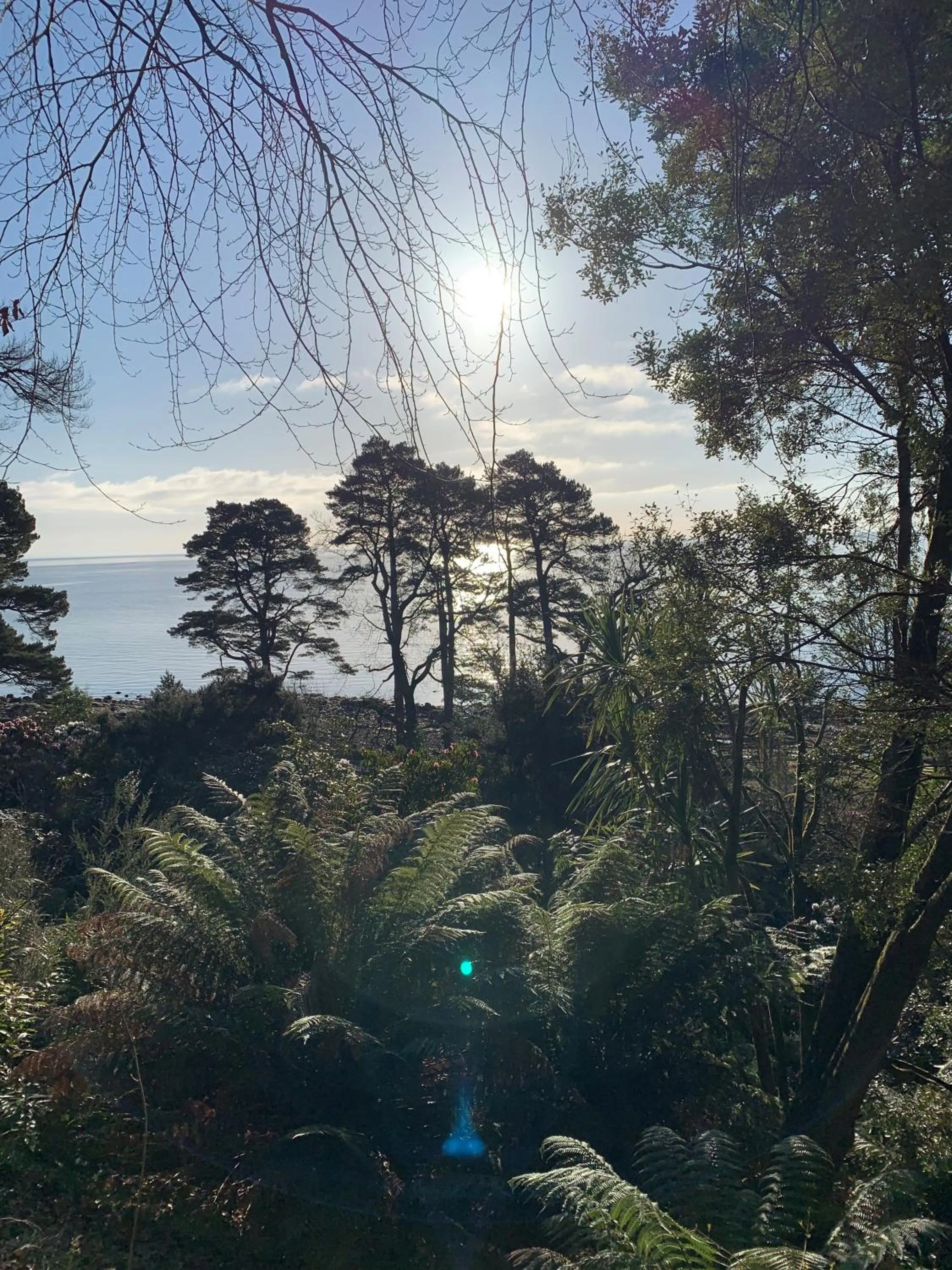 Natural landscape in The Corrie Hotel