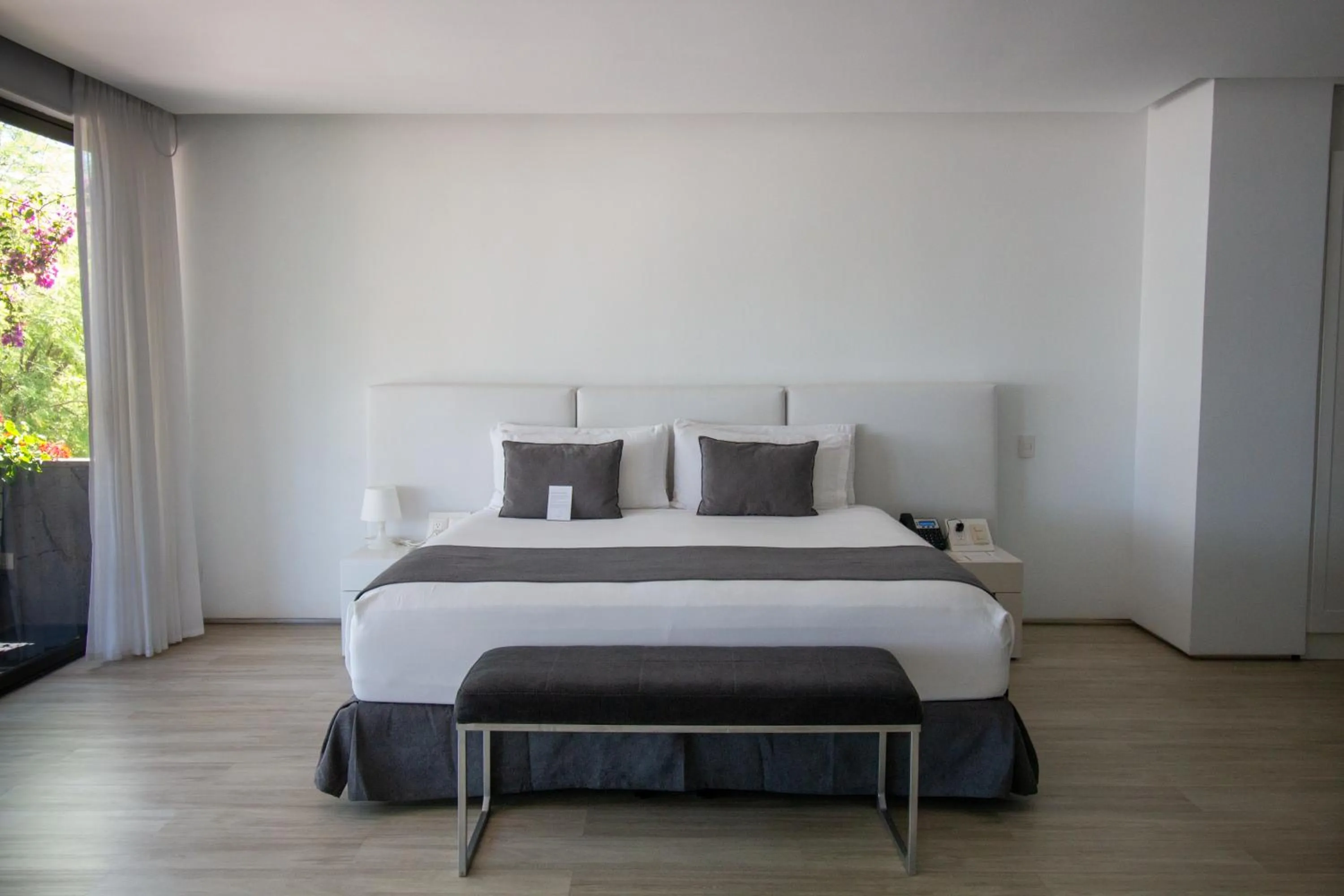 Bed in Golden Bay Galapagos