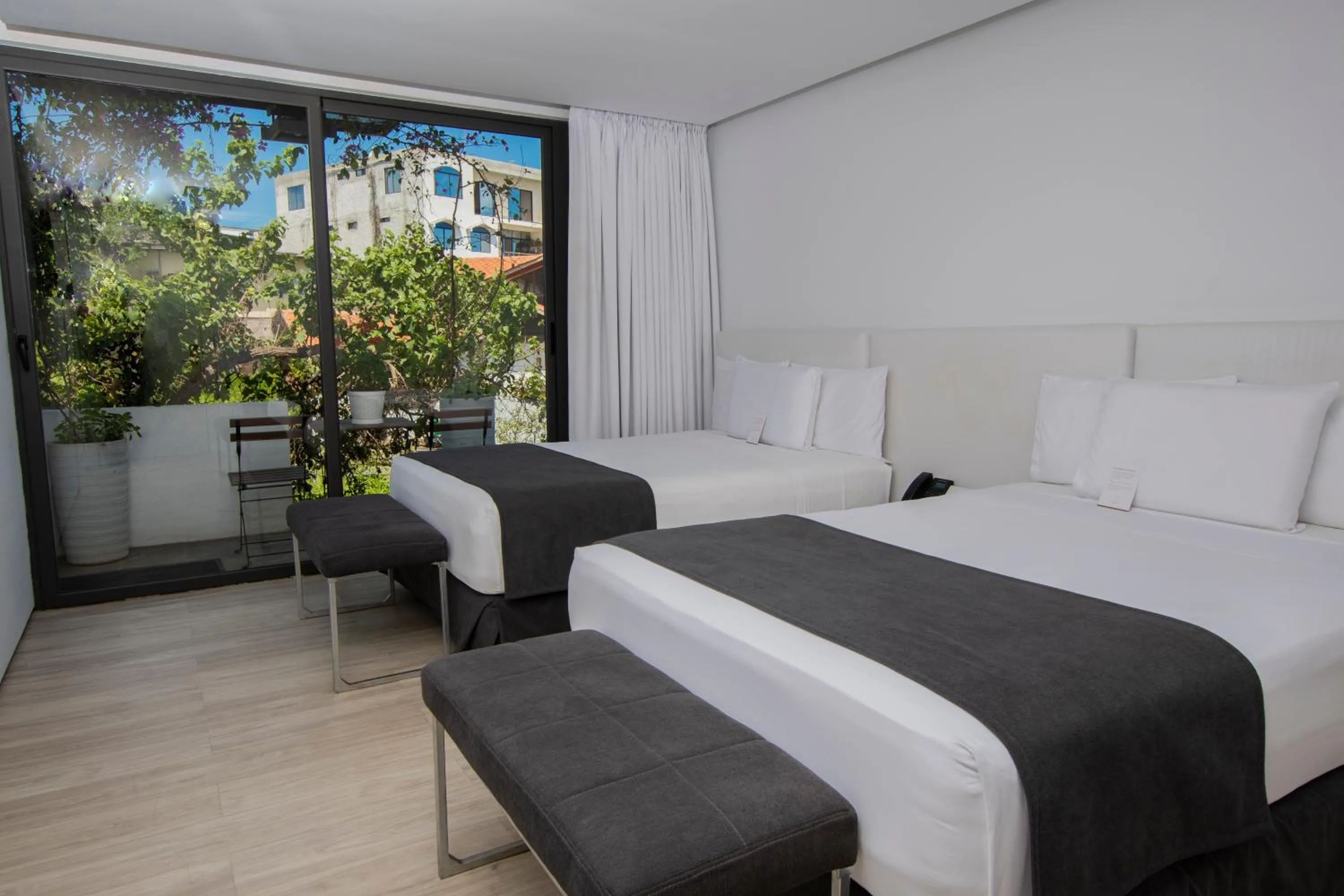 Bed in Golden Bay Galapagos