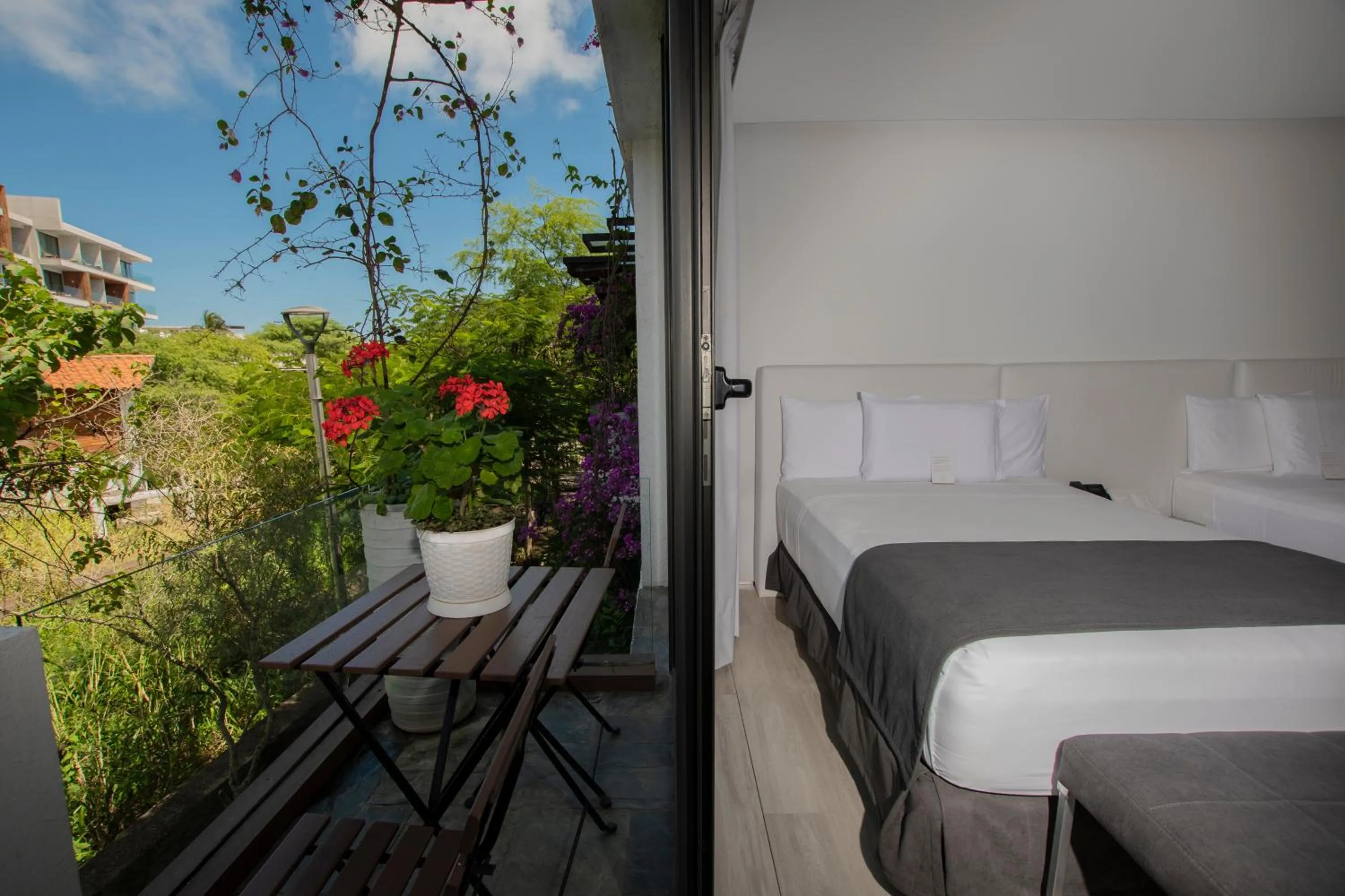 Bed in Golden Bay Galapagos