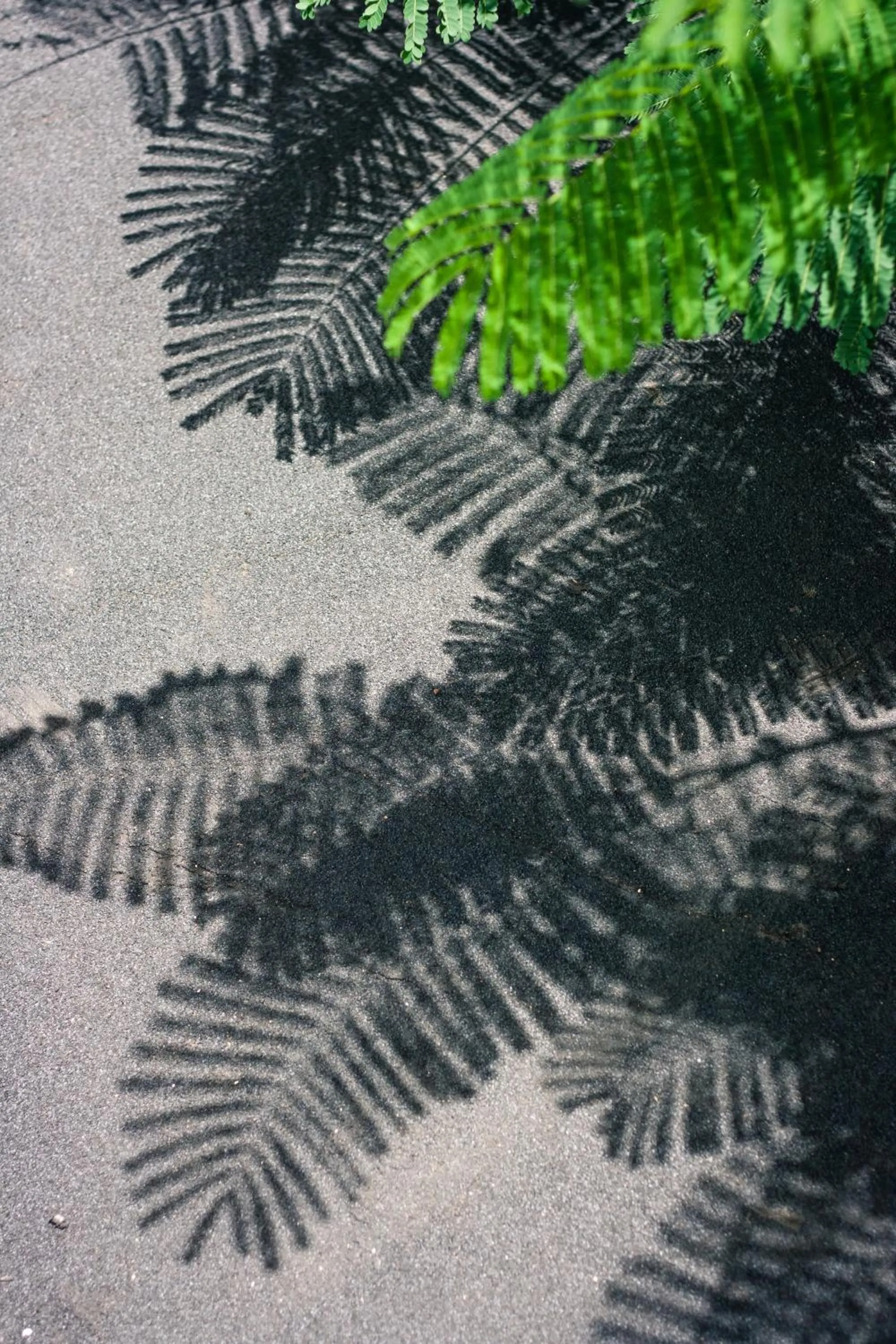 Day in Golden Bay Galapagos