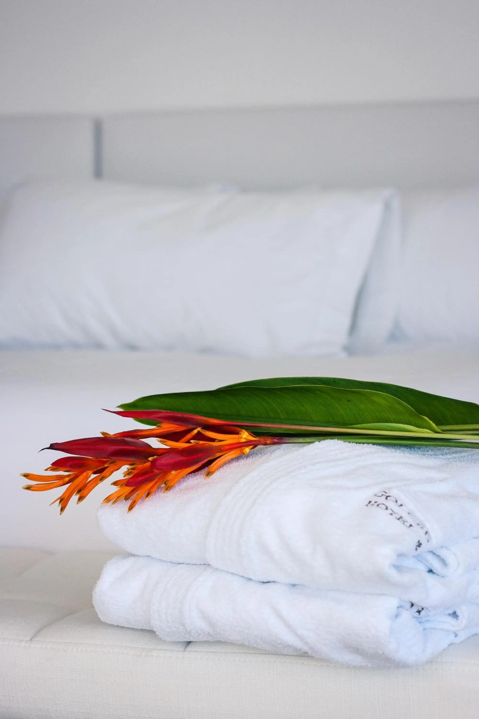 Bed in Golden Bay Galapagos