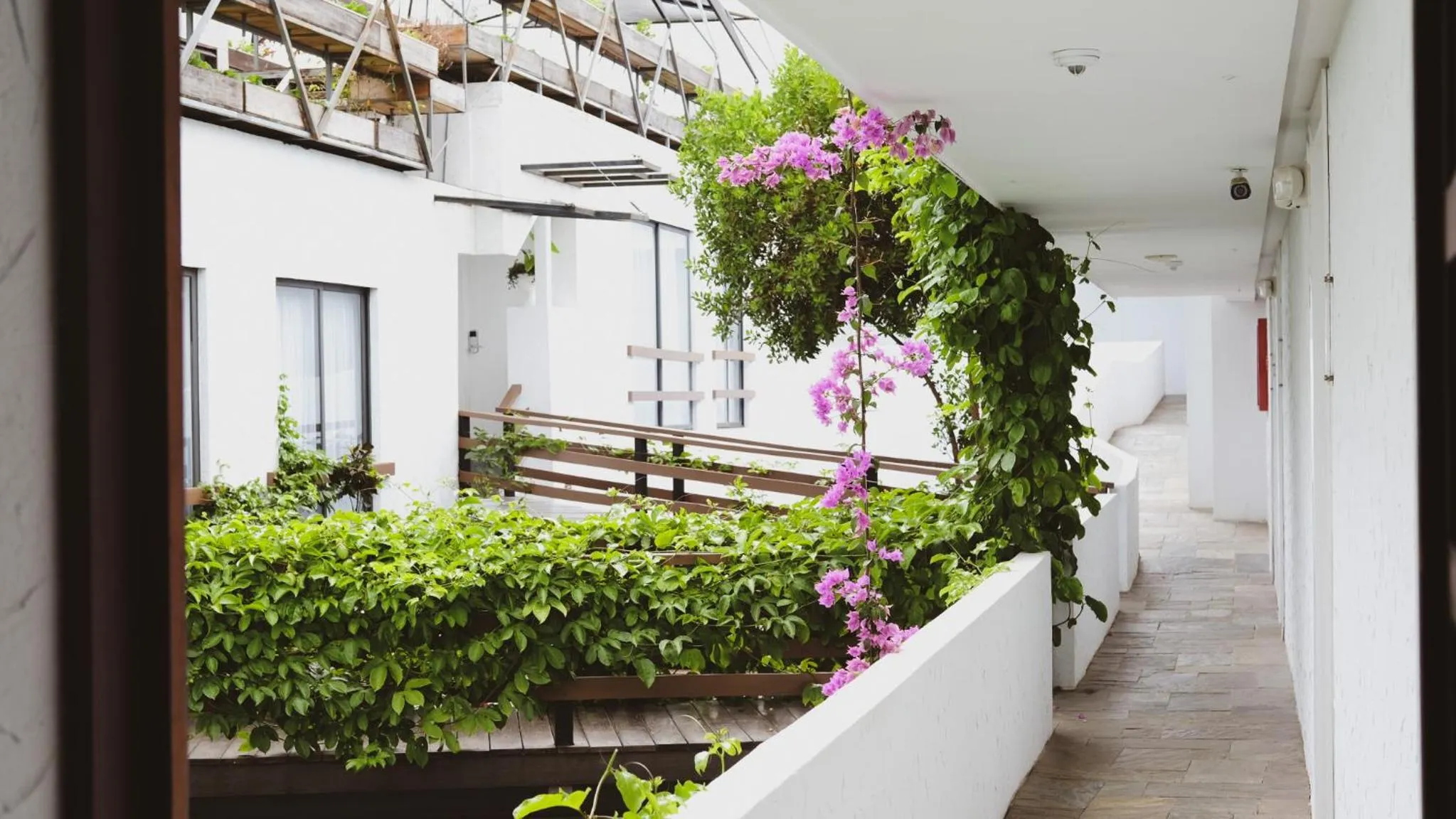 Day in Golden Bay Galapagos