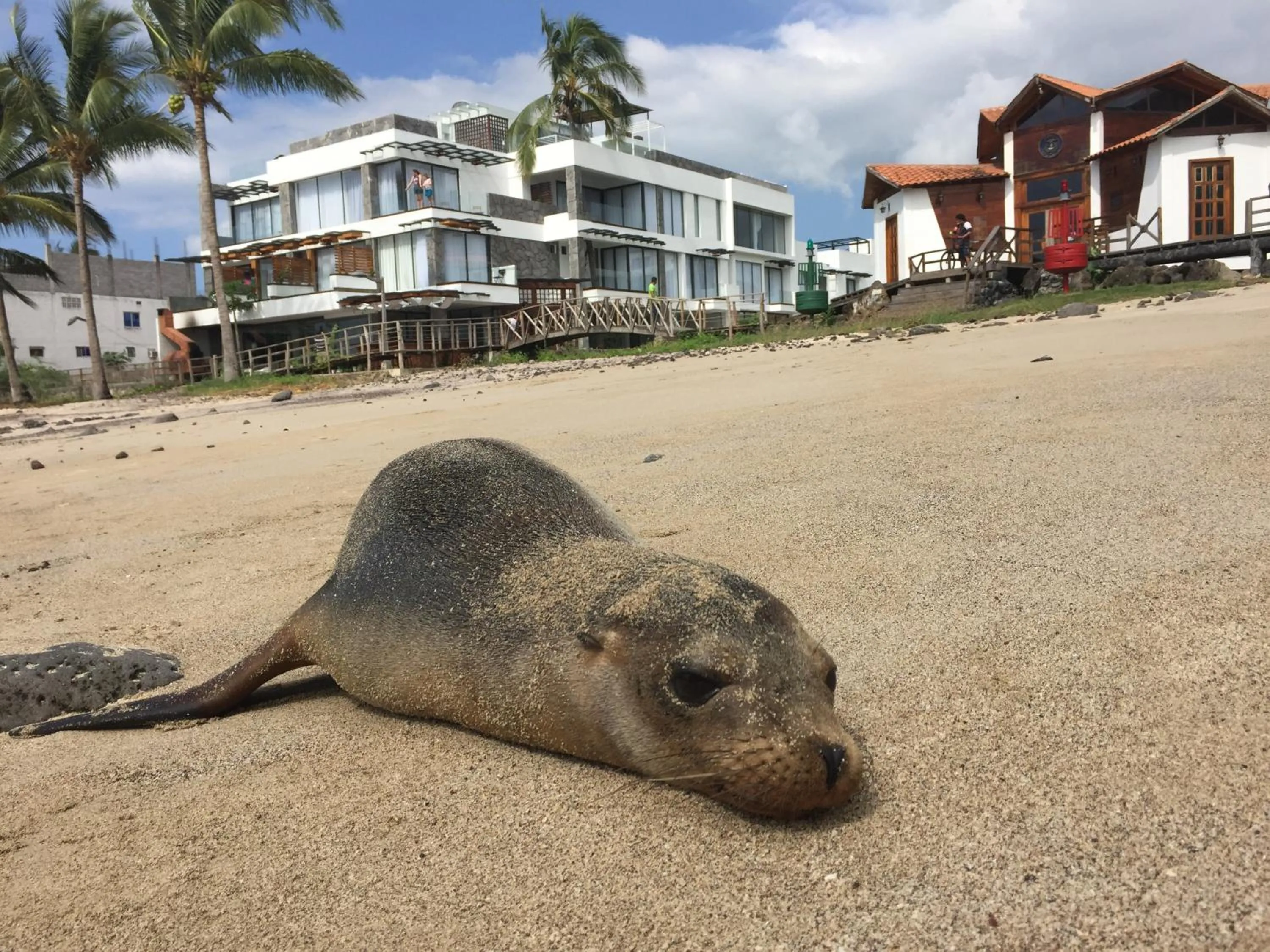 Day in Golden Bay Galapagos