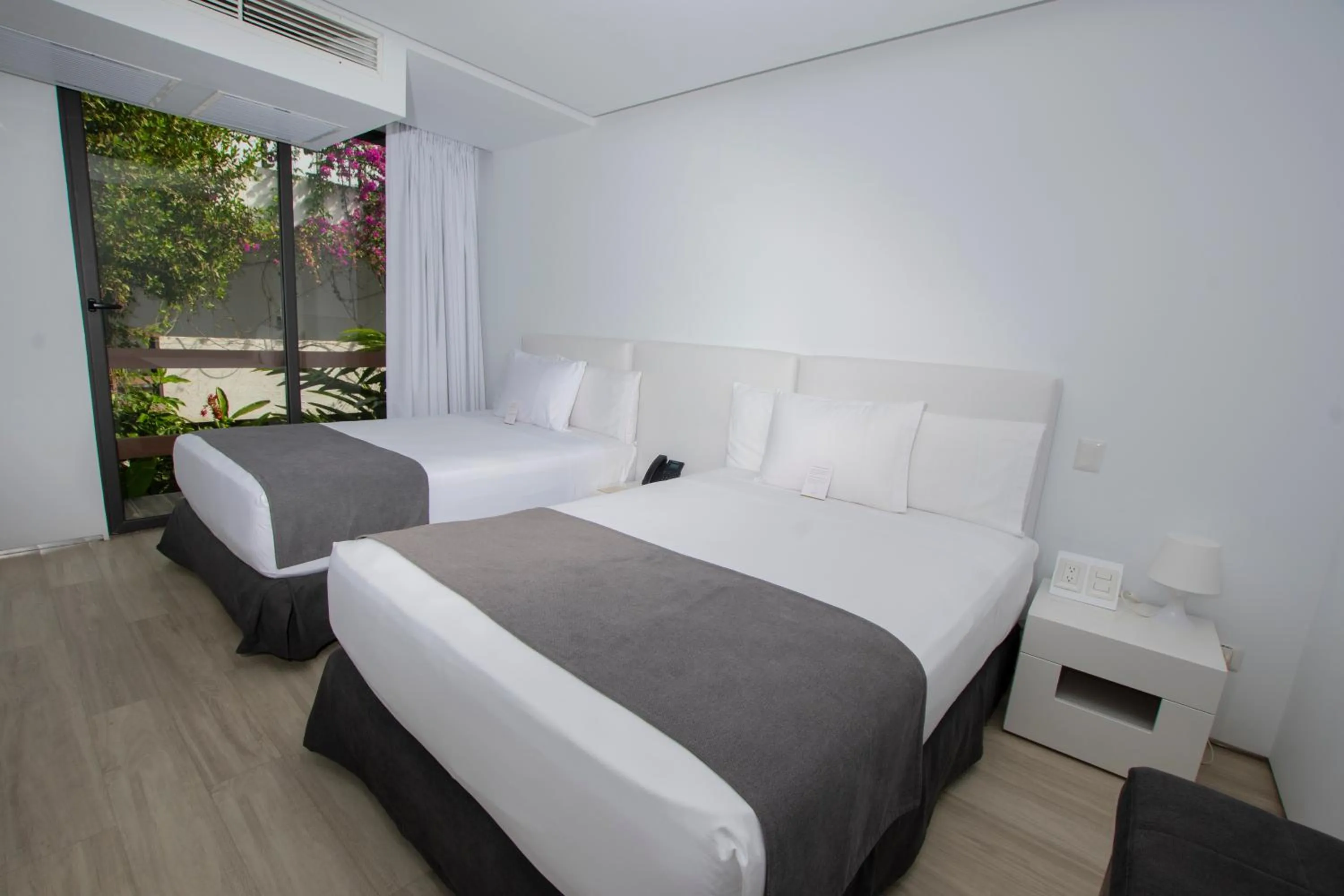 Bed in Golden Bay Galapagos