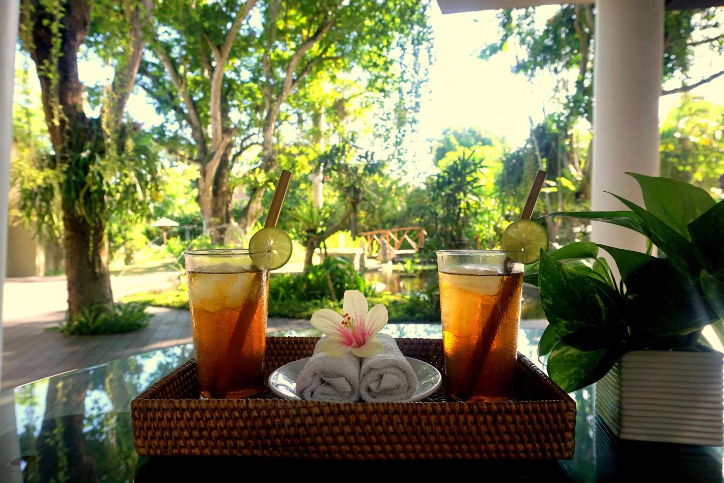 Drinks in Regali Villa Canggu