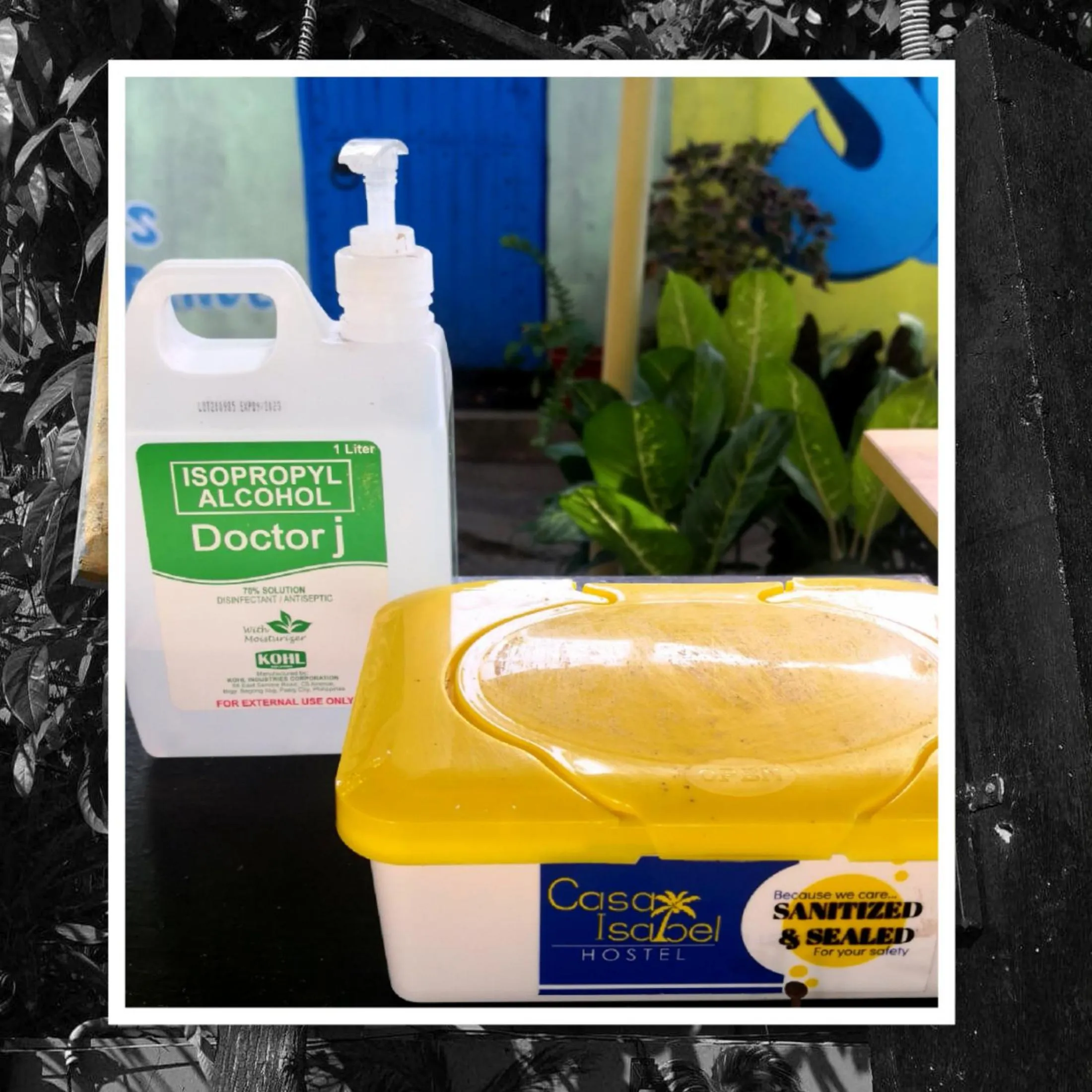 Seating area in Casa Isabel Hostel