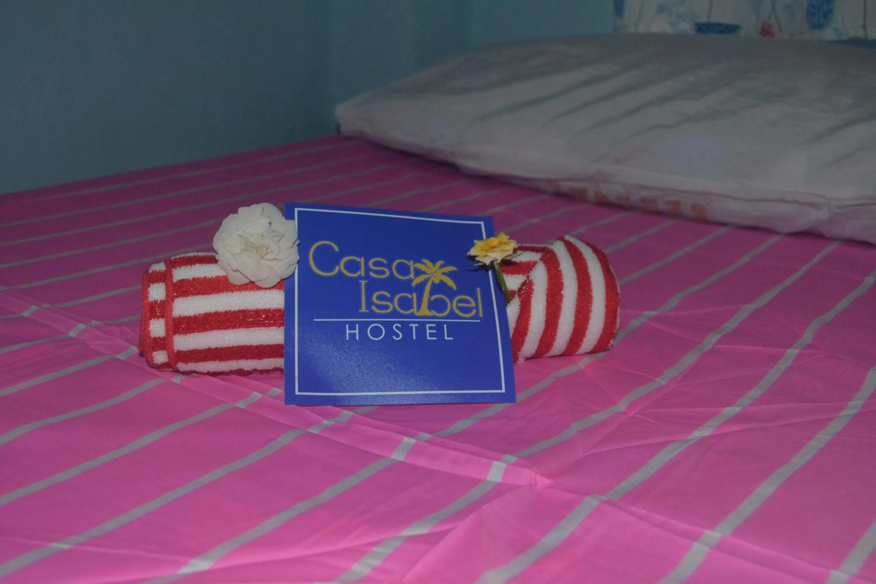 Bed in Casa Isabel Hostel