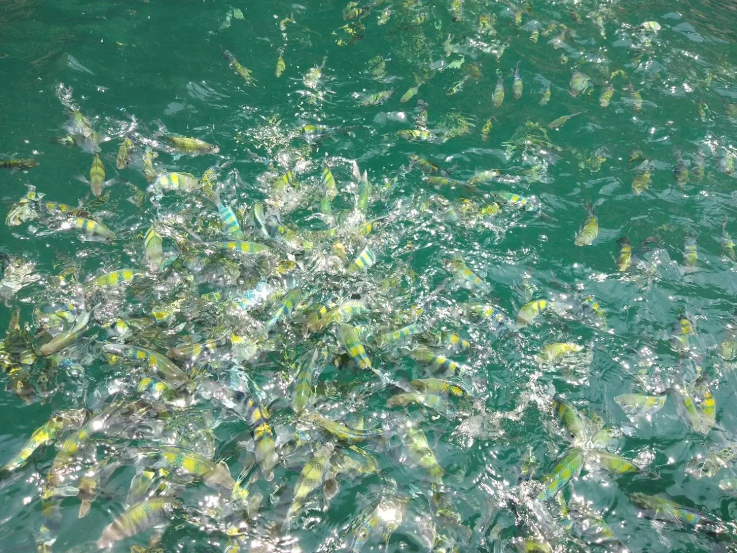 Smile Resort Koh Mook