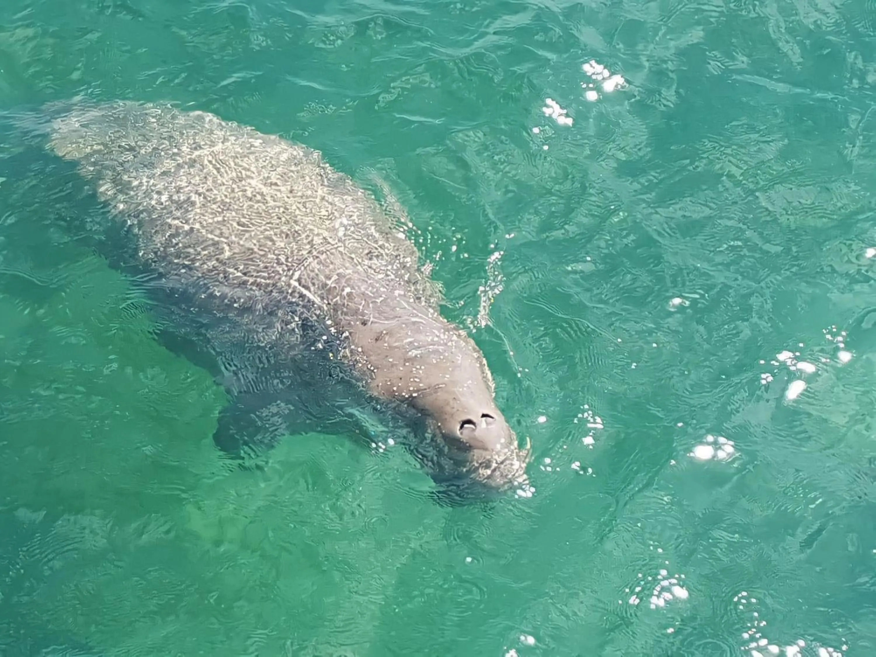 Smile Resort Koh Mook