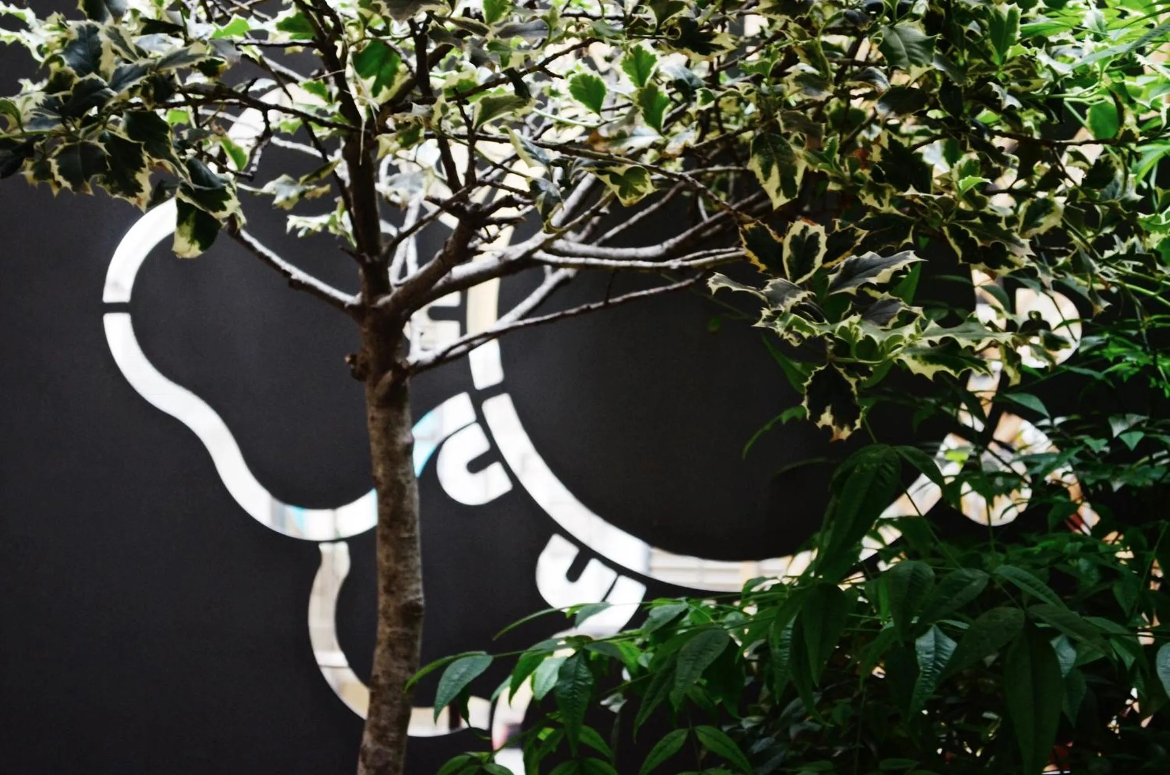 Piazza Castello Suite