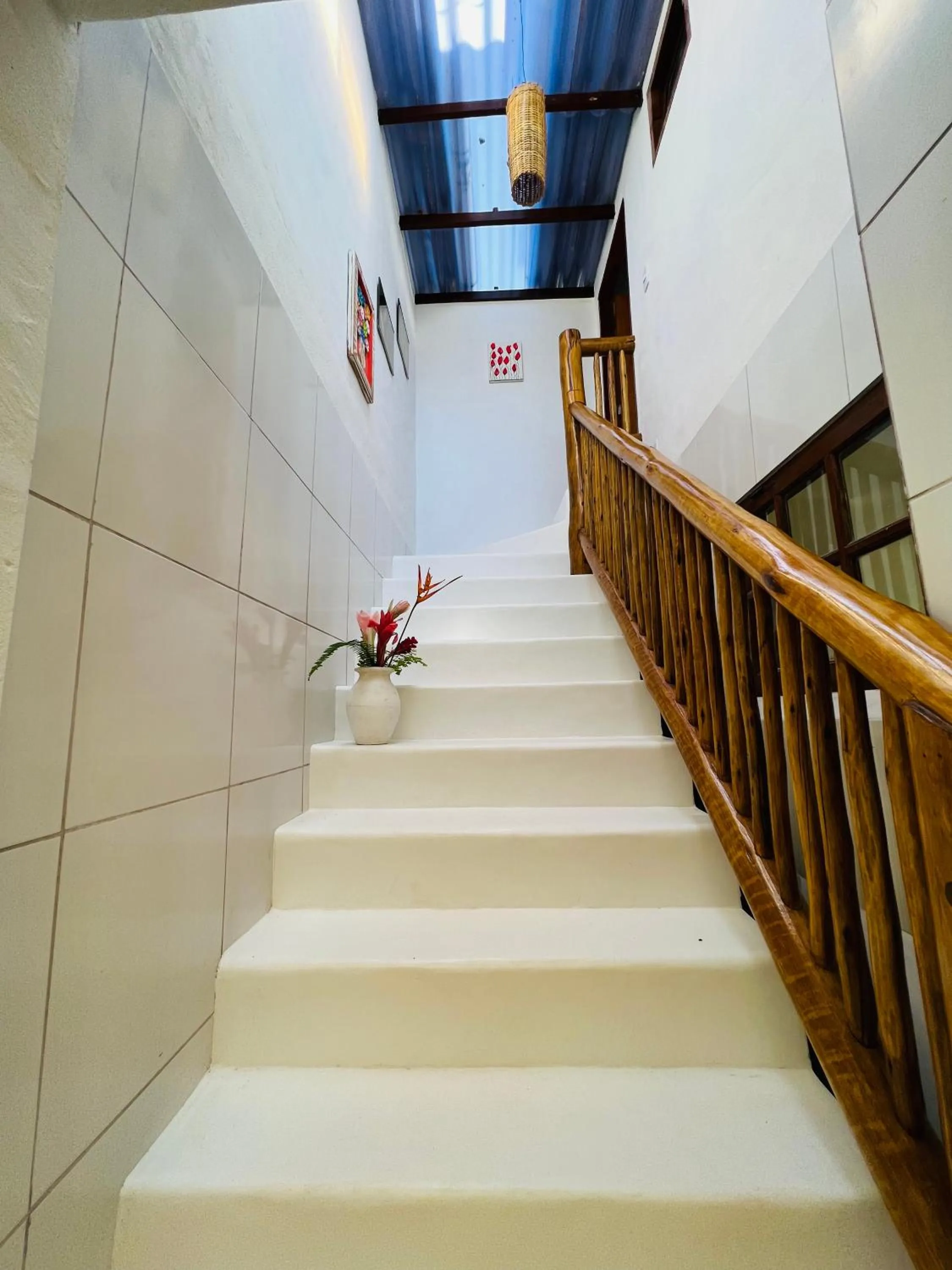 Property building in Pousada Pandoro