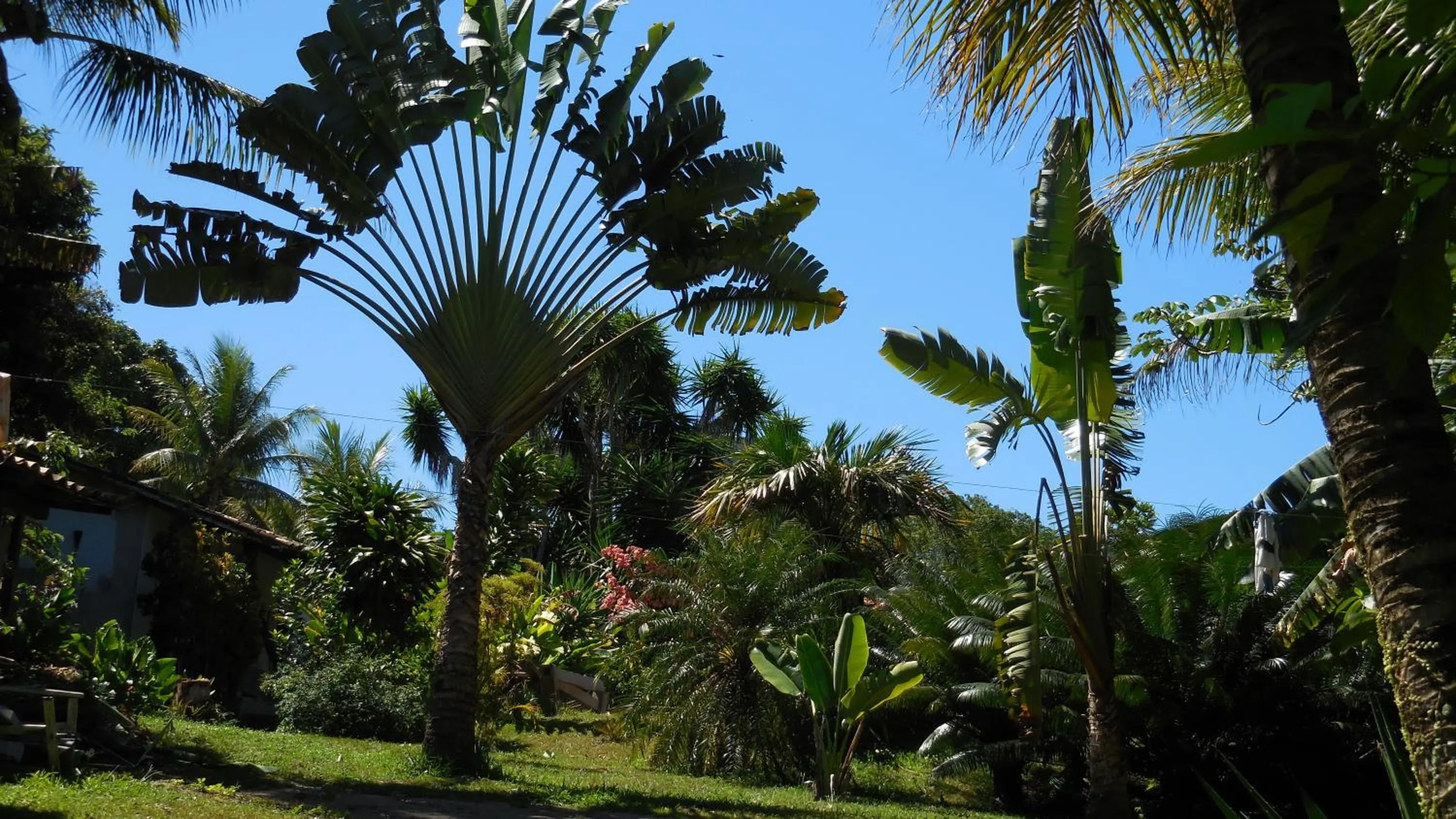 Garden in Pousada Pandoro