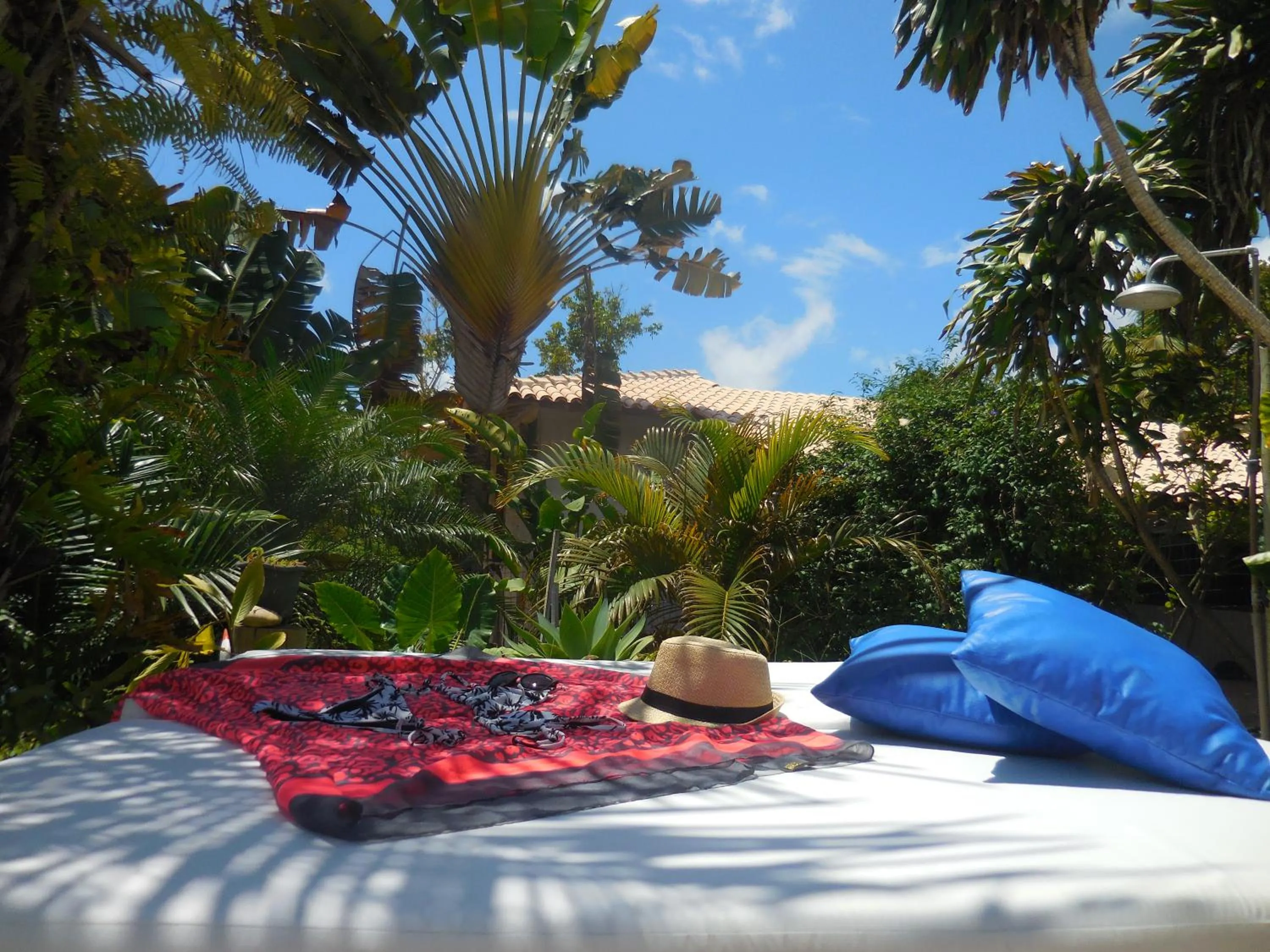 Swimming pool in Pousada Pandoro