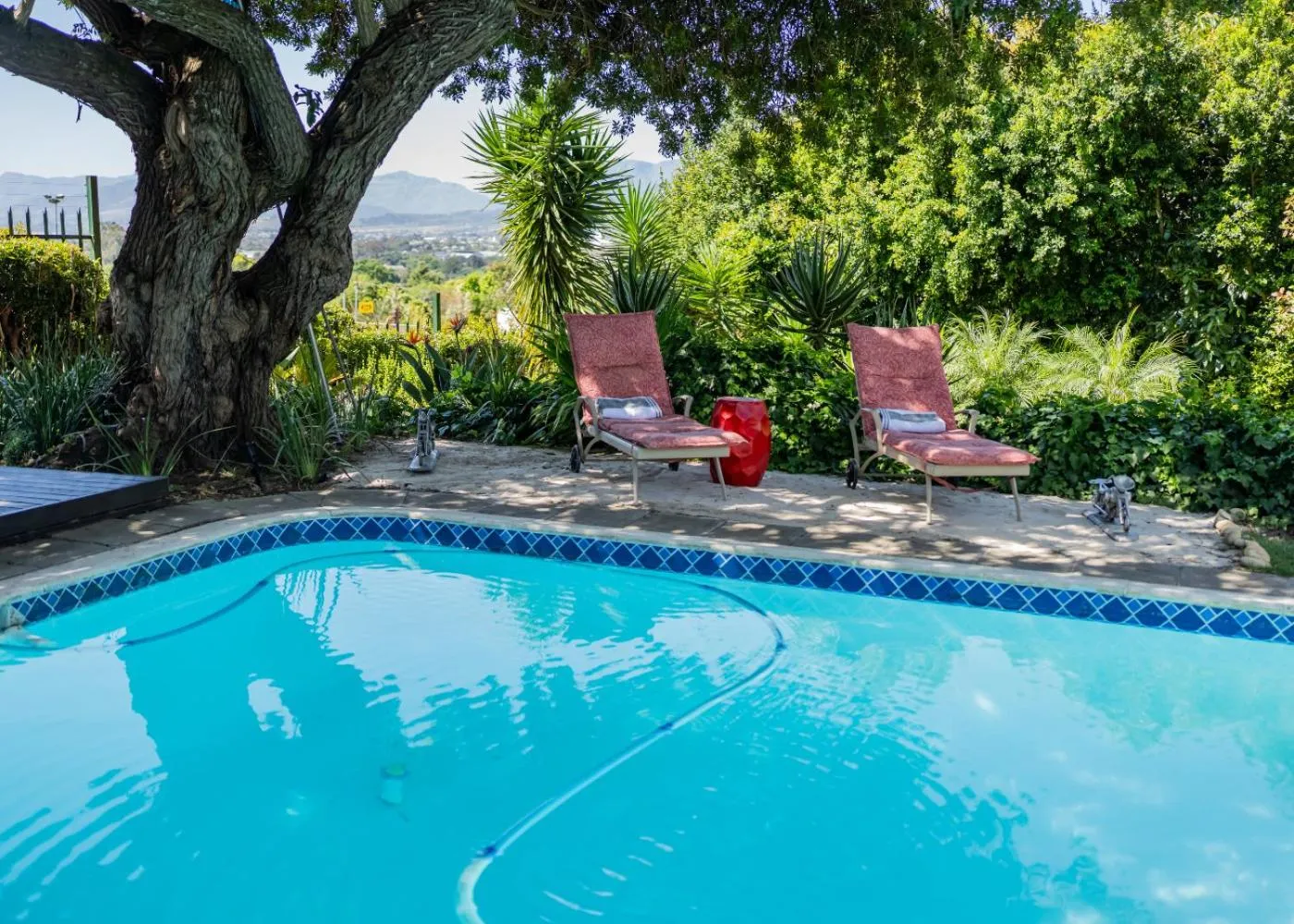 Garden in De Wingerd Wijnland Lodge