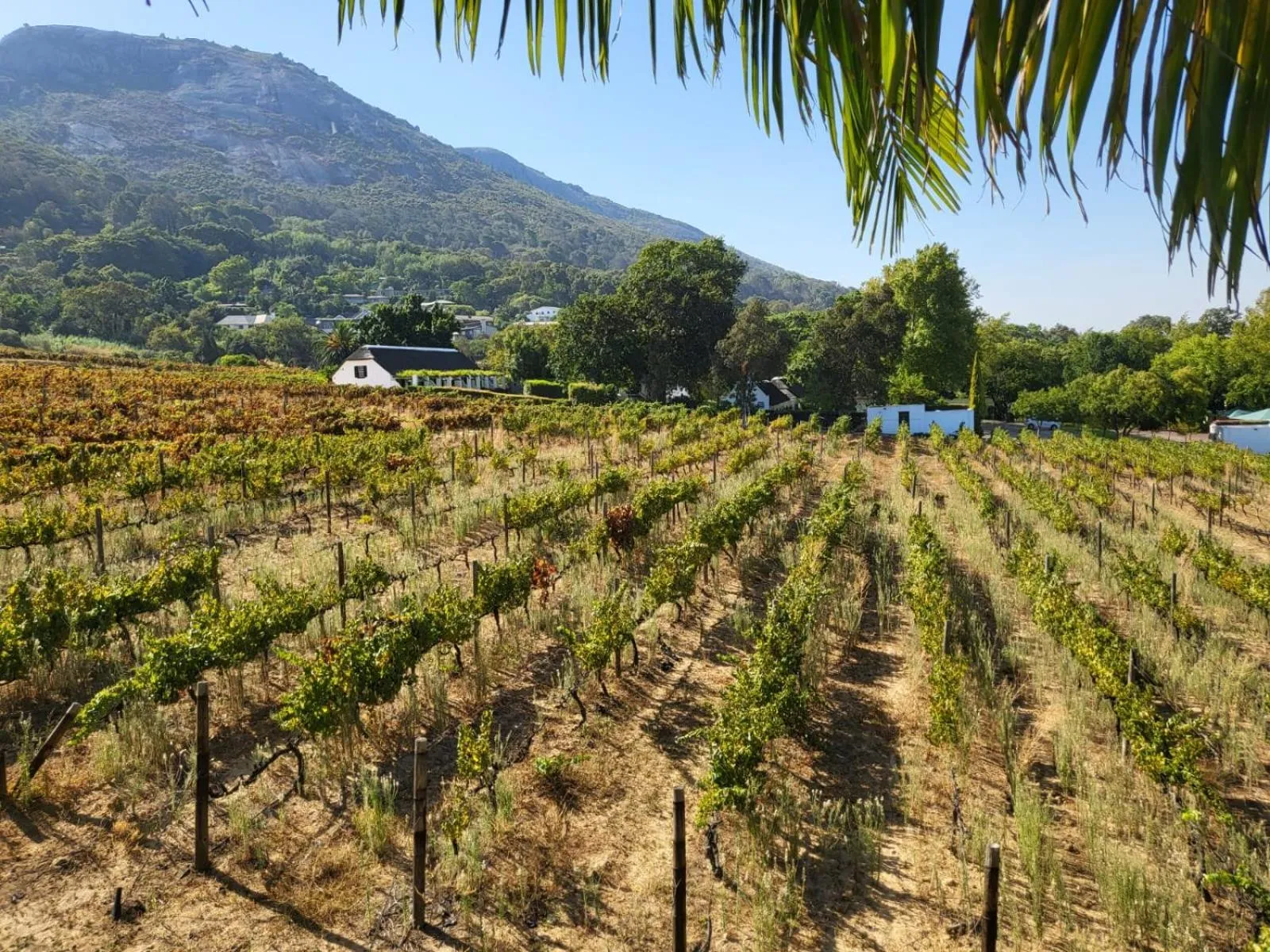 Mountain view in De Wingerd Wijnland Lodge