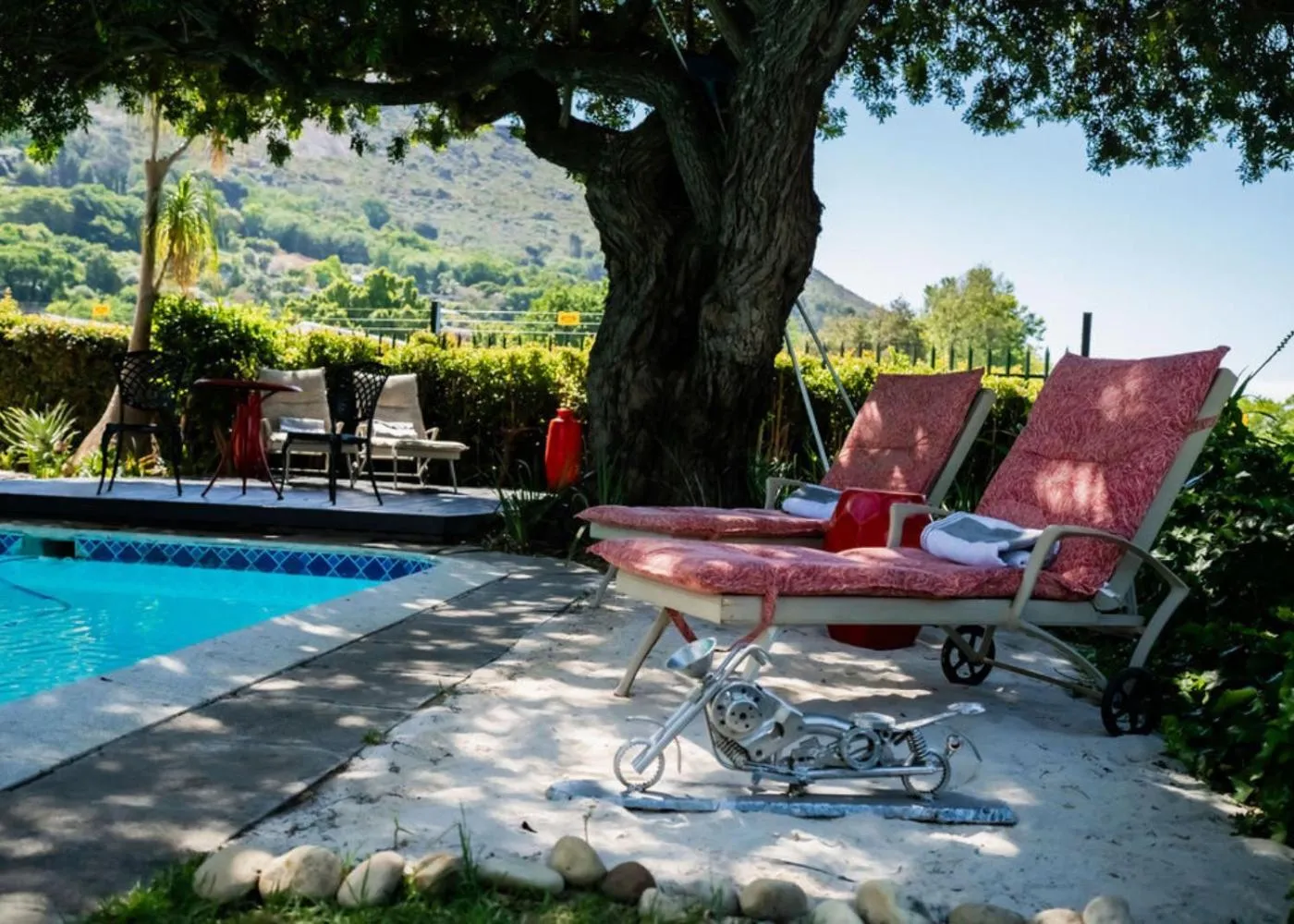 Natural landscape in De Wingerd Wijnland Lodge