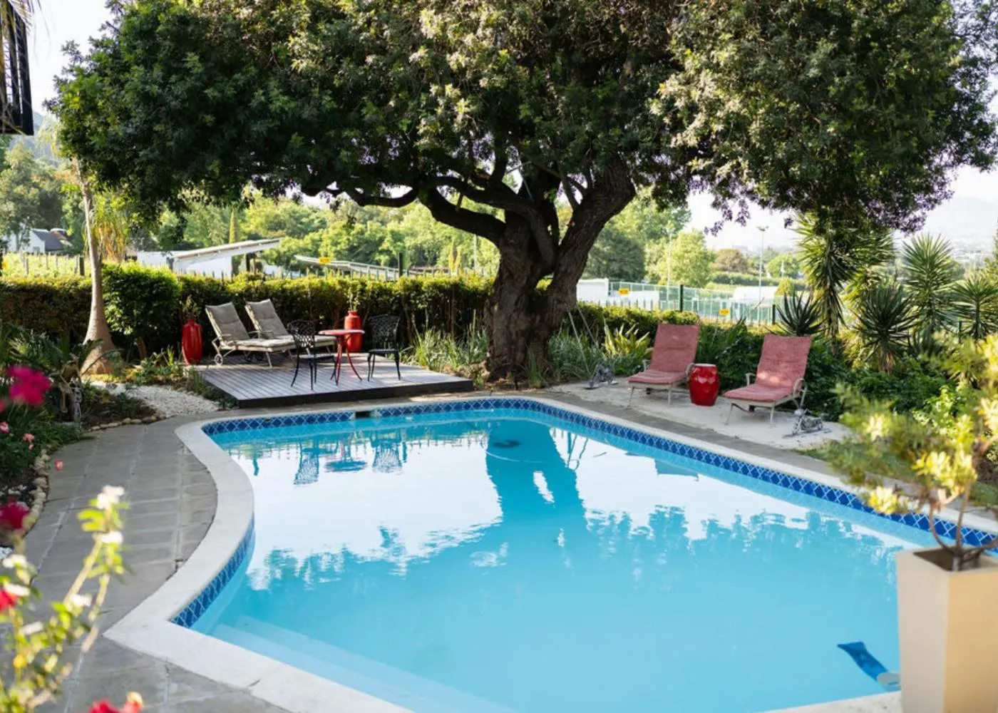 Natural landscape in De Wingerd Wijnland Lodge