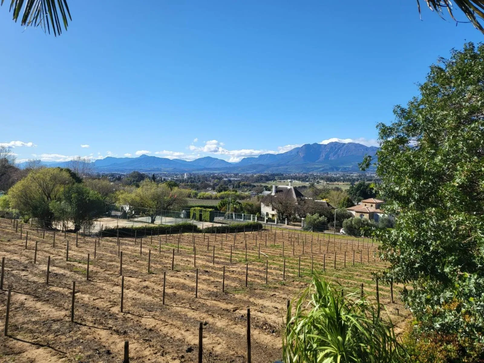View (from property/room) in De Wingerd Wijnland Lodge