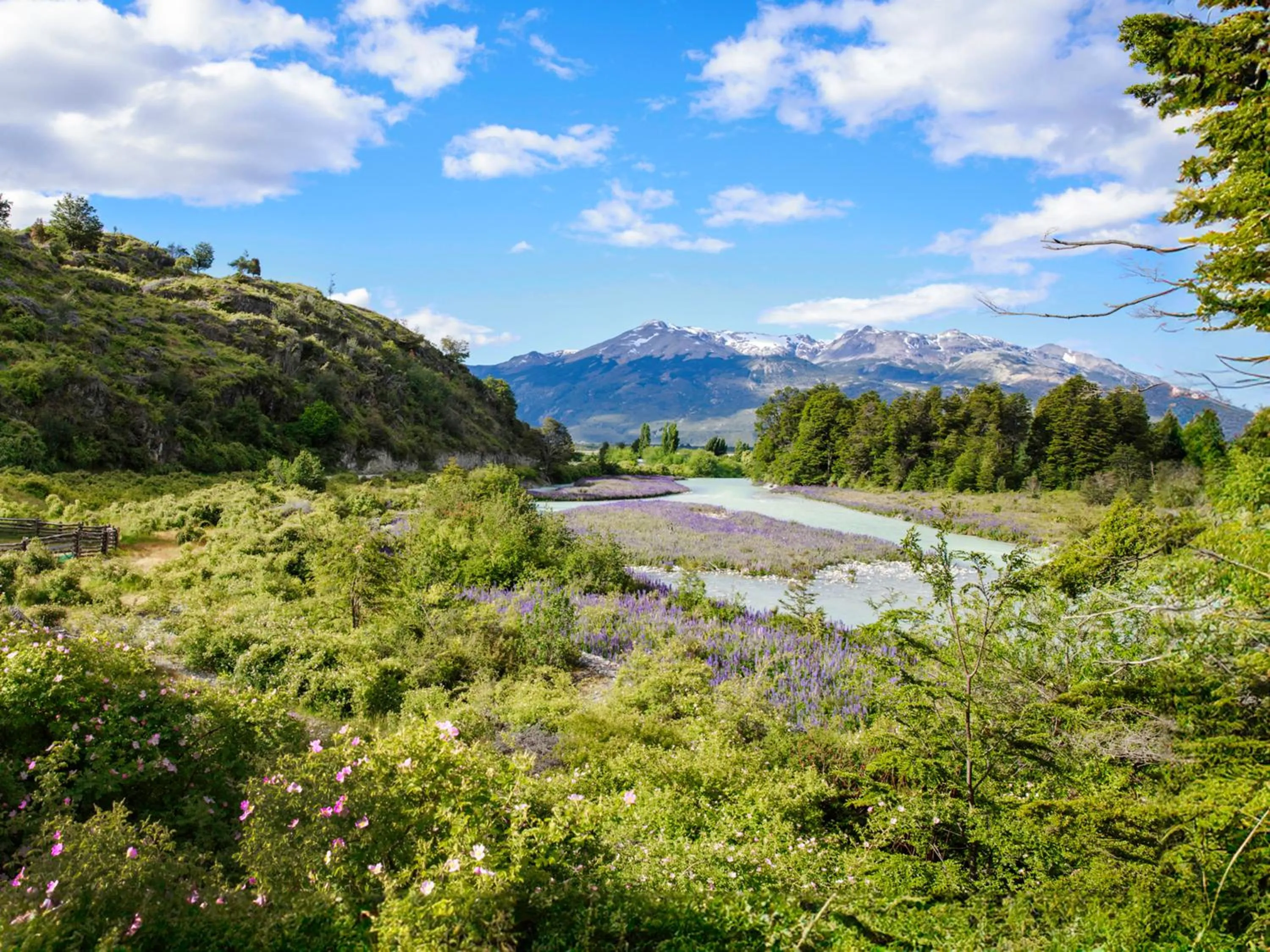 Spring in Loberias Del Sur