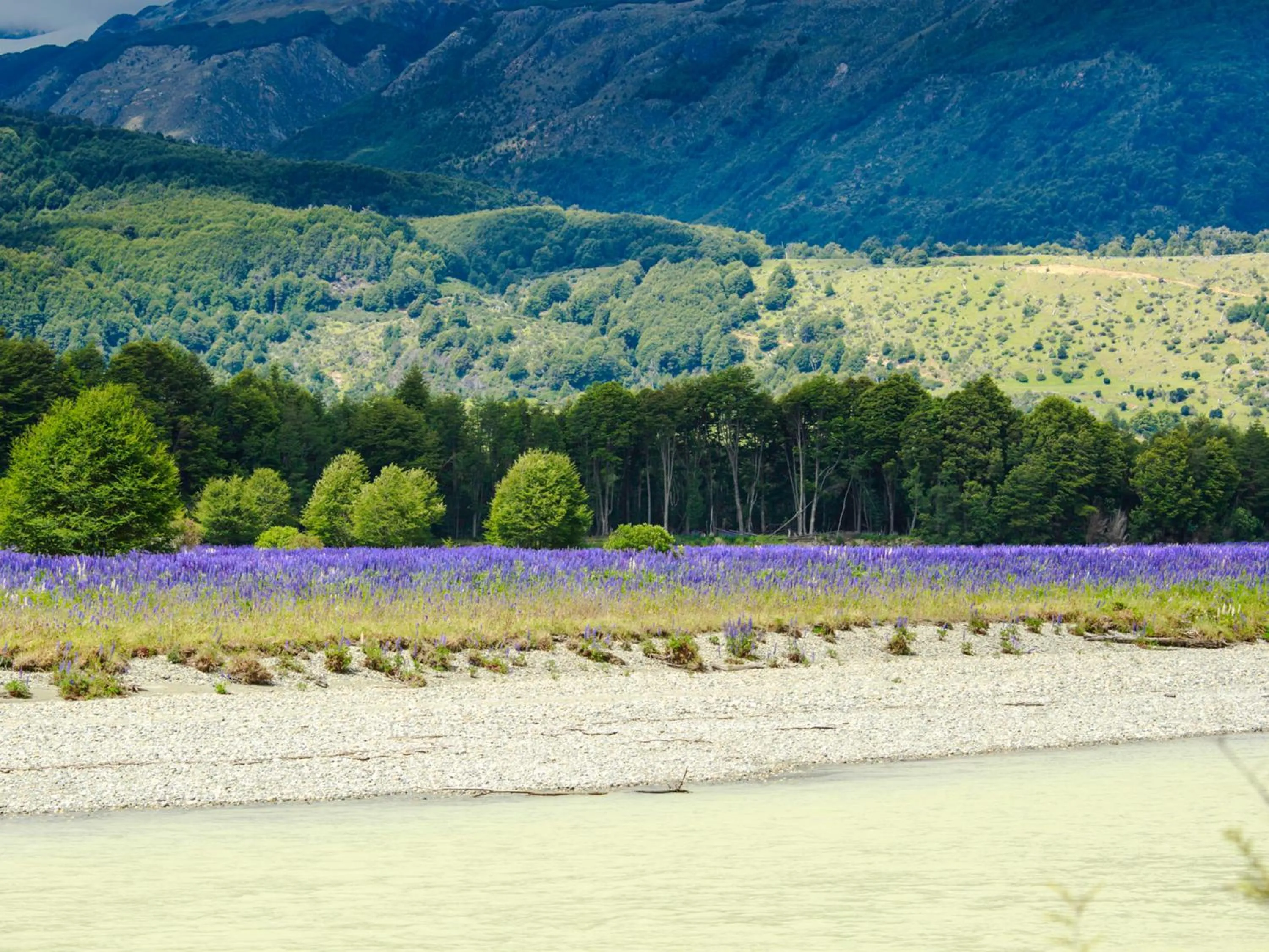 Spring in Loberias Del Sur