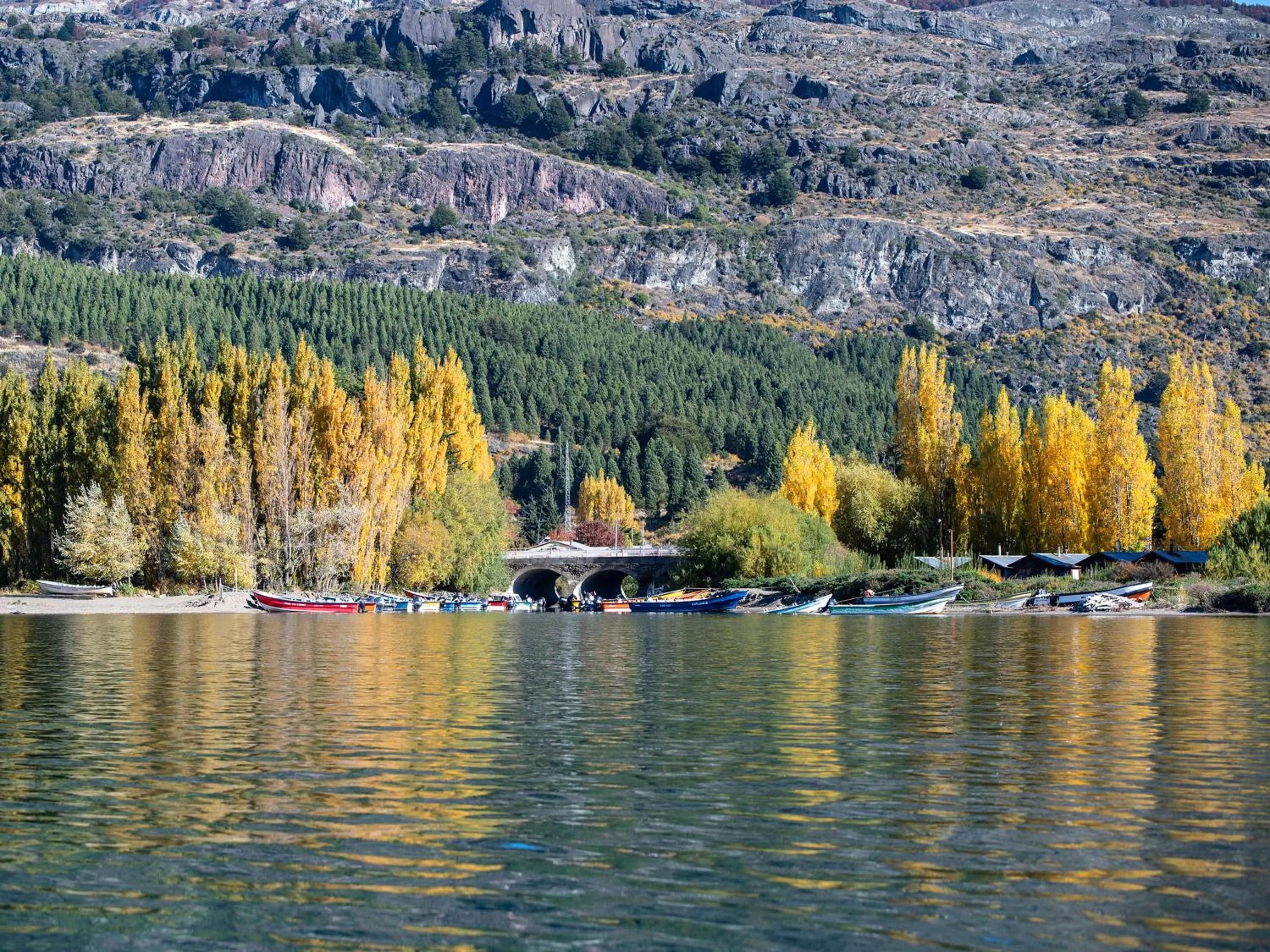 Spring in Loberias Del Sur