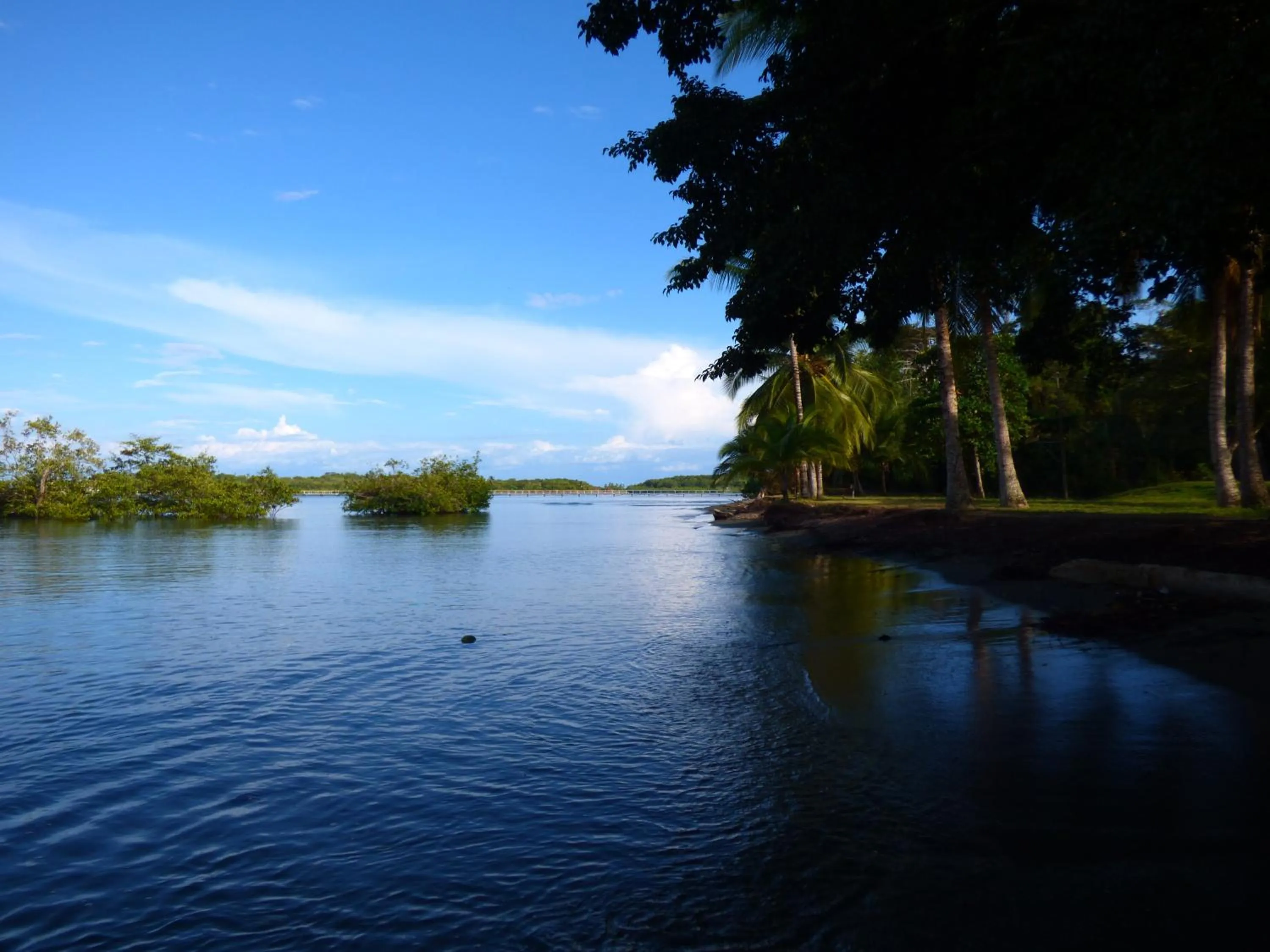 Beach in Corcovado Beach Lodge