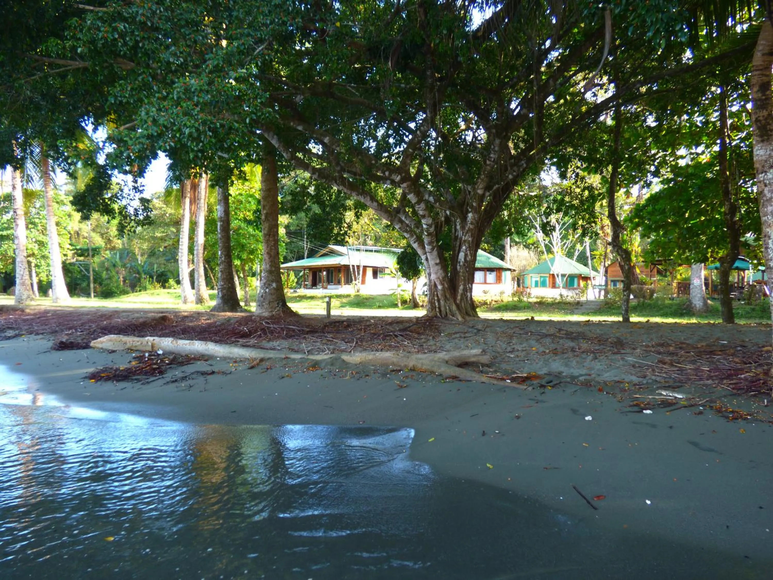 Beach in Corcovado Beach Lodge