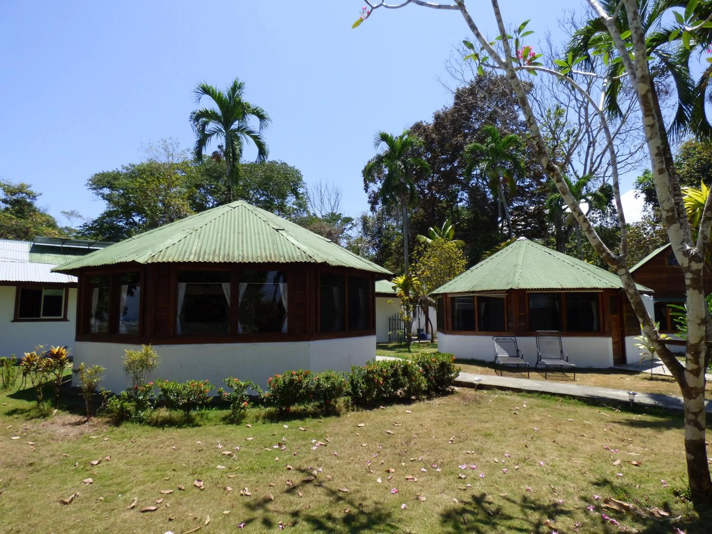 Garden in Corcovado Beach Lodge