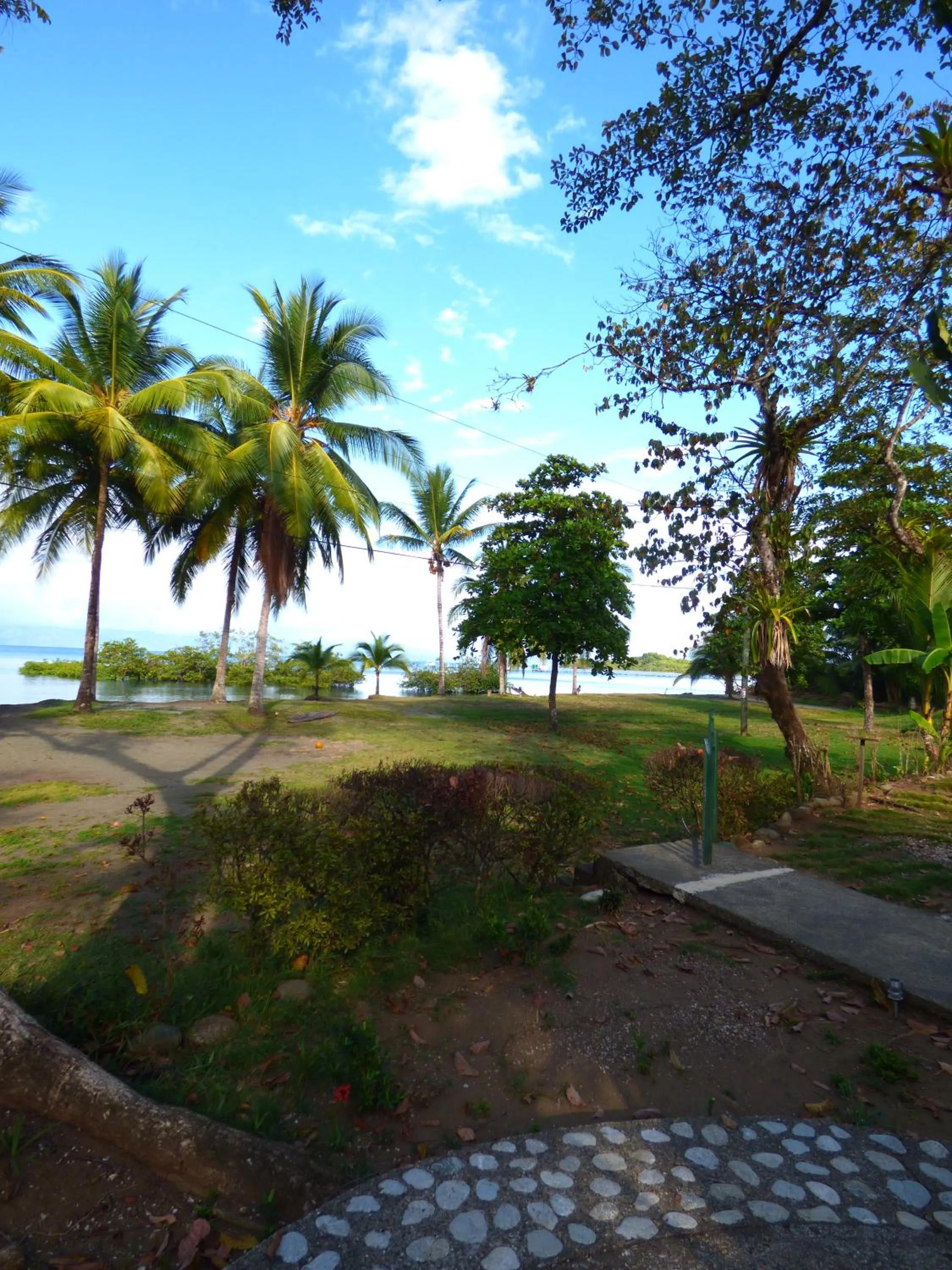 Beach in Corcovado Beach Lodge