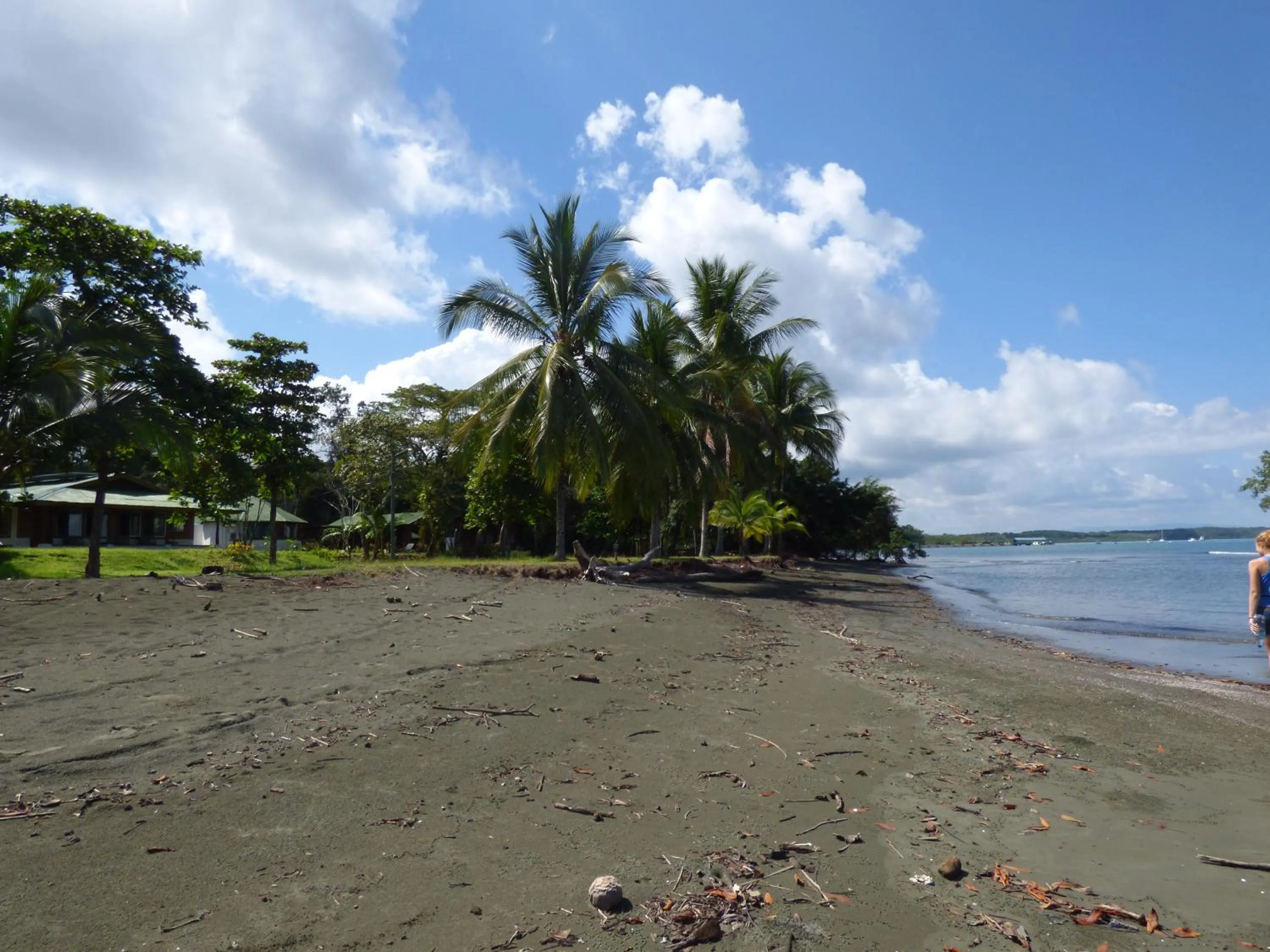 Beach in Corcovado Beach Lodge