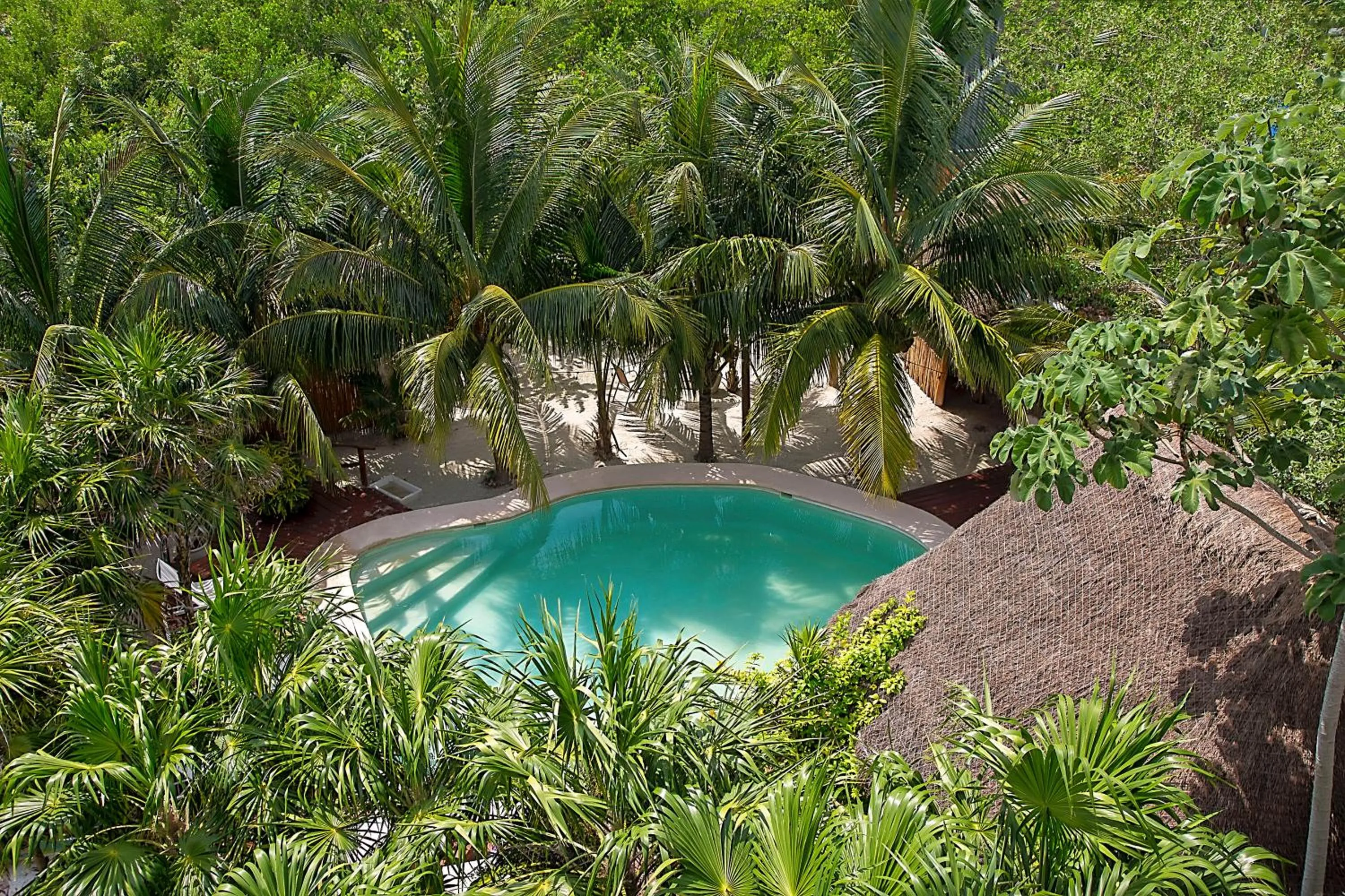 Garden in Holbox Deluxe Apartments