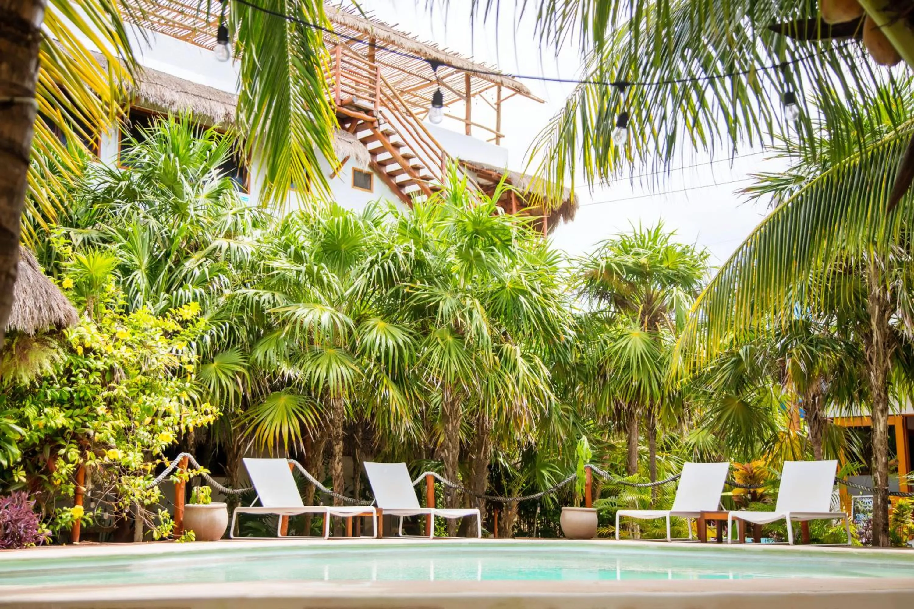 Garden view in Holbox Deluxe Apartments