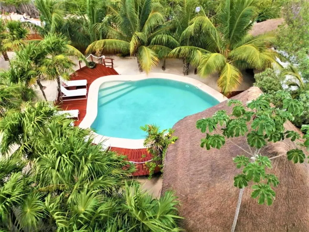 Swimming pool in Holbox Deluxe Apartments