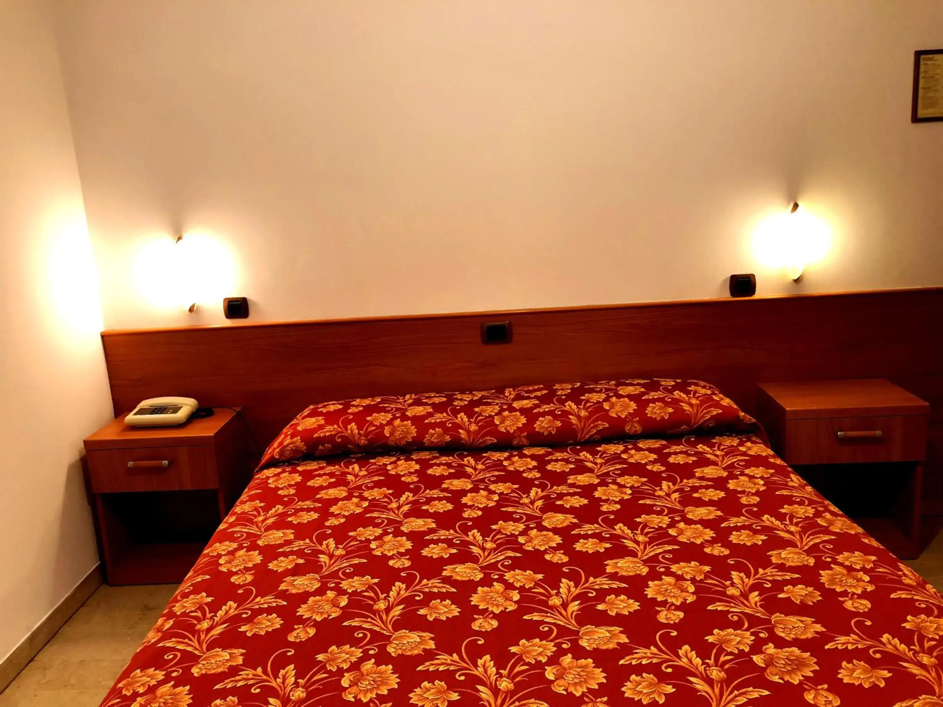 Single Room - single occupancy in Hotel Sanmicheli Single Room - single occupancy in Hotel Sanmicheli