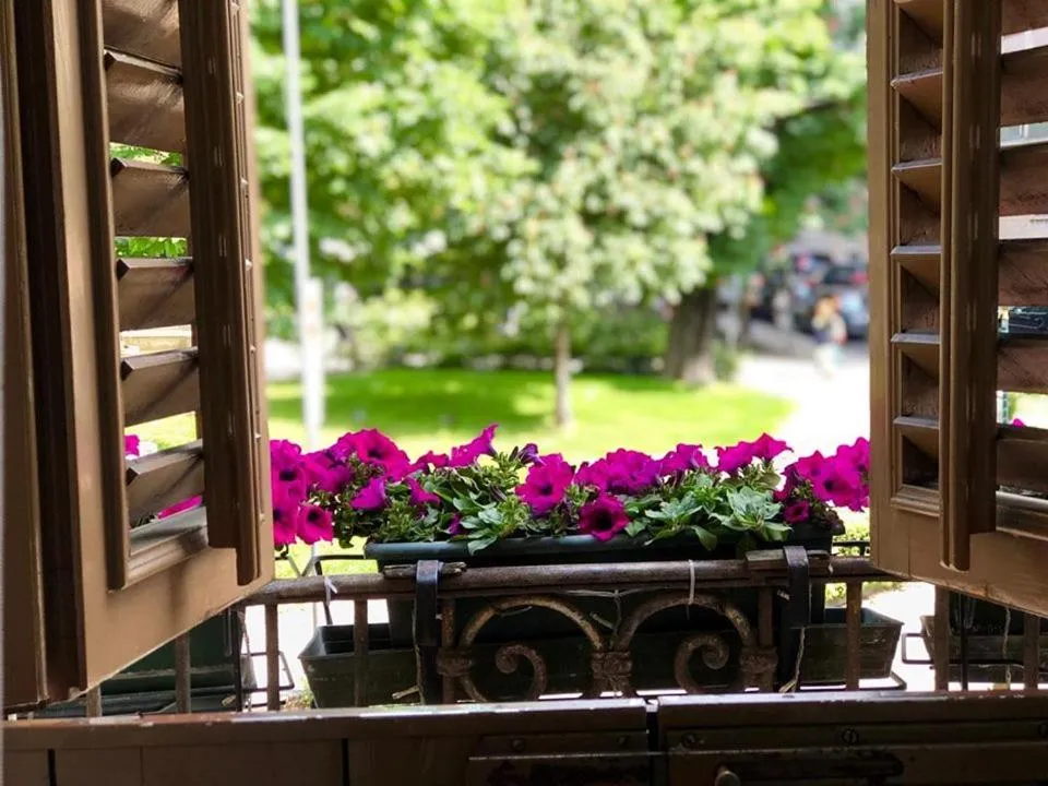 View (from property/room) in Hotel Sanmicheli