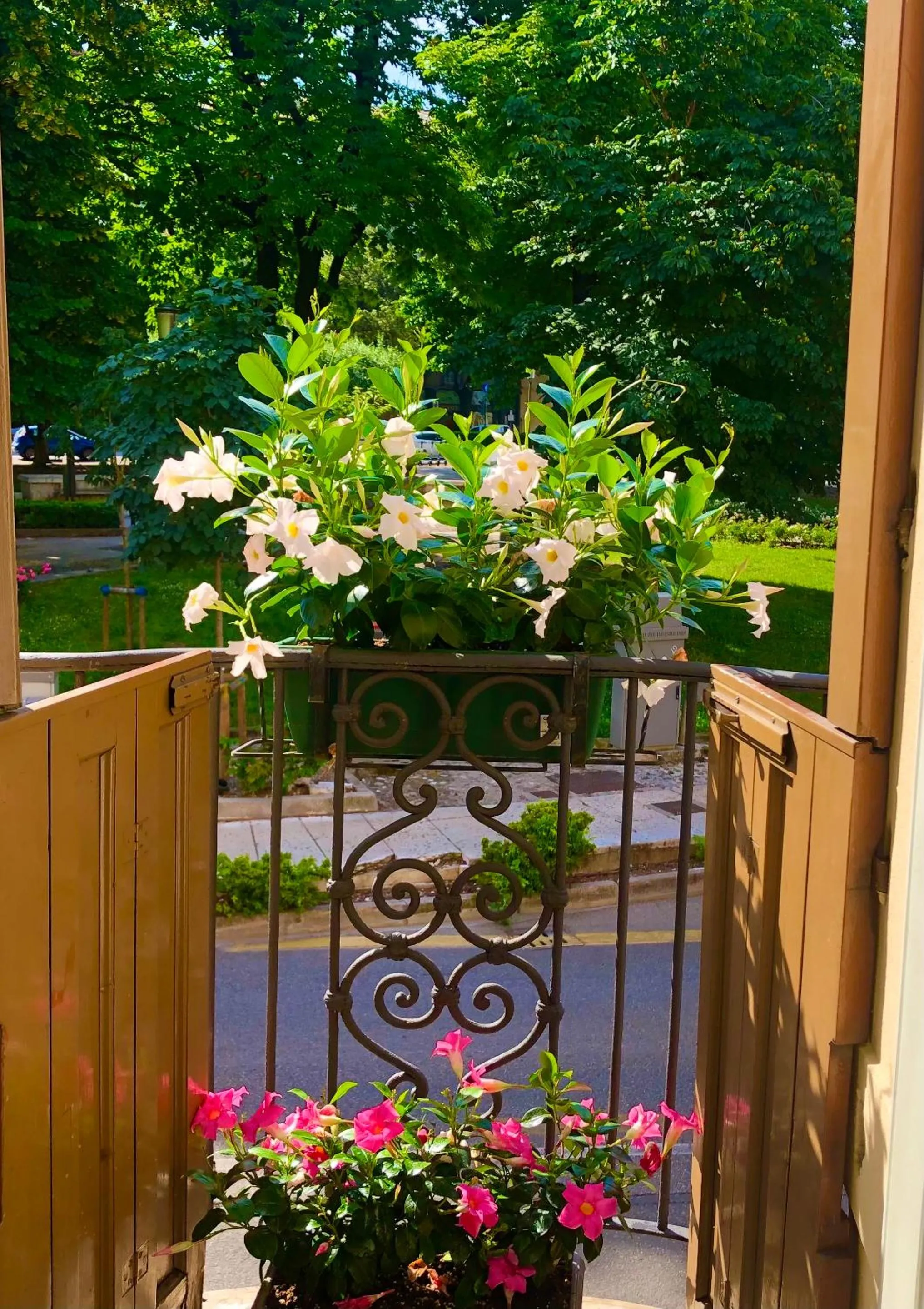 Balcony/Terrace in Hotel Sanmicheli