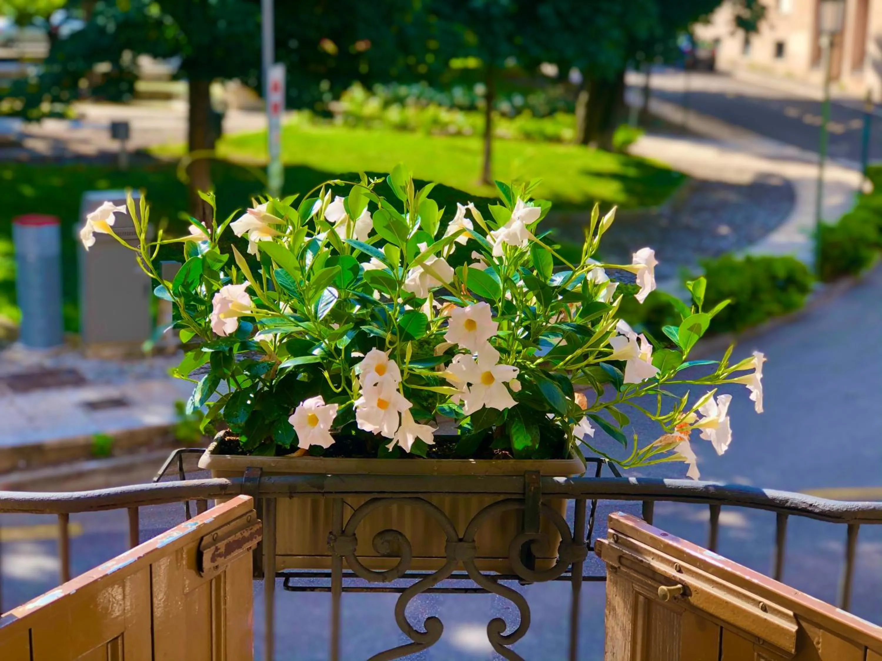 Balcony/Terrace in Hotel Sanmicheli