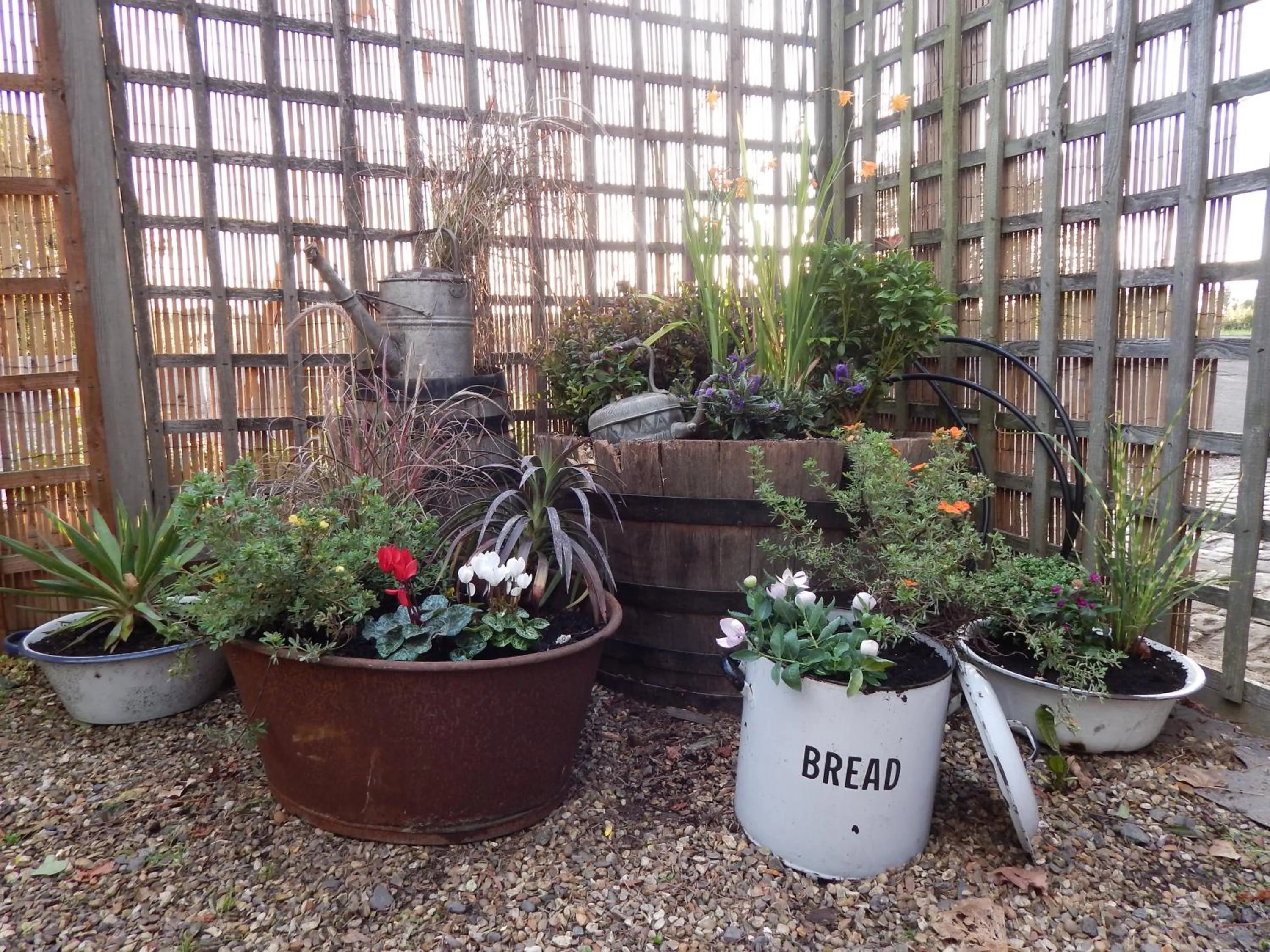 Patio in The Ivy House