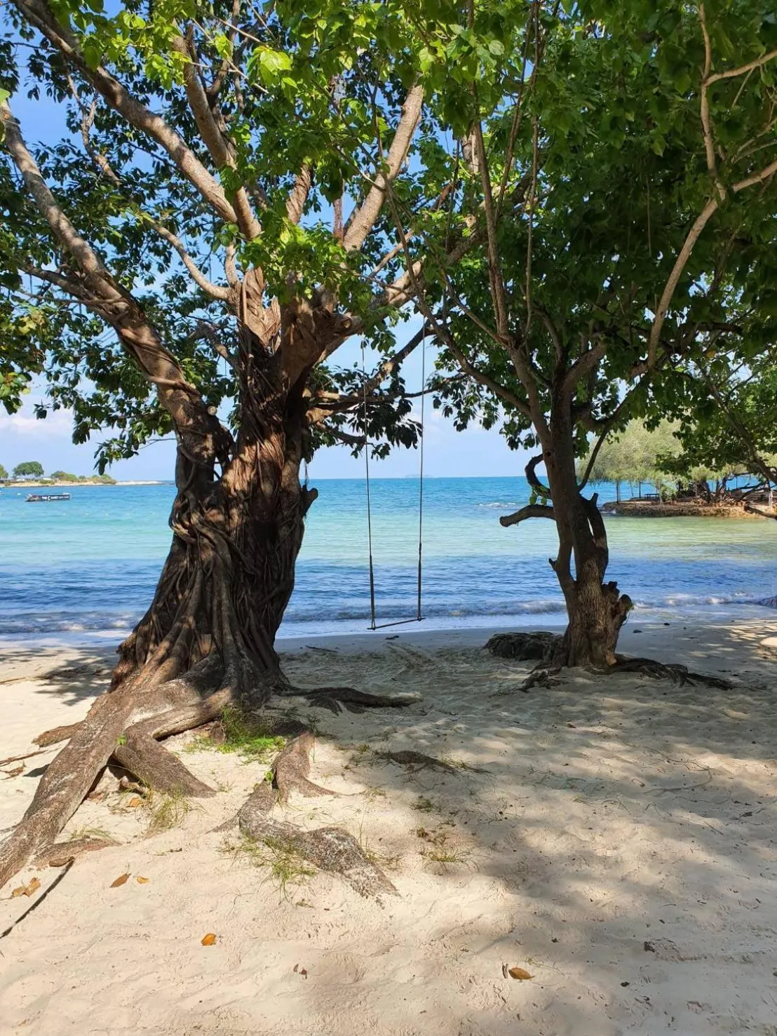 The C Samet Beach Resort SHA Plus