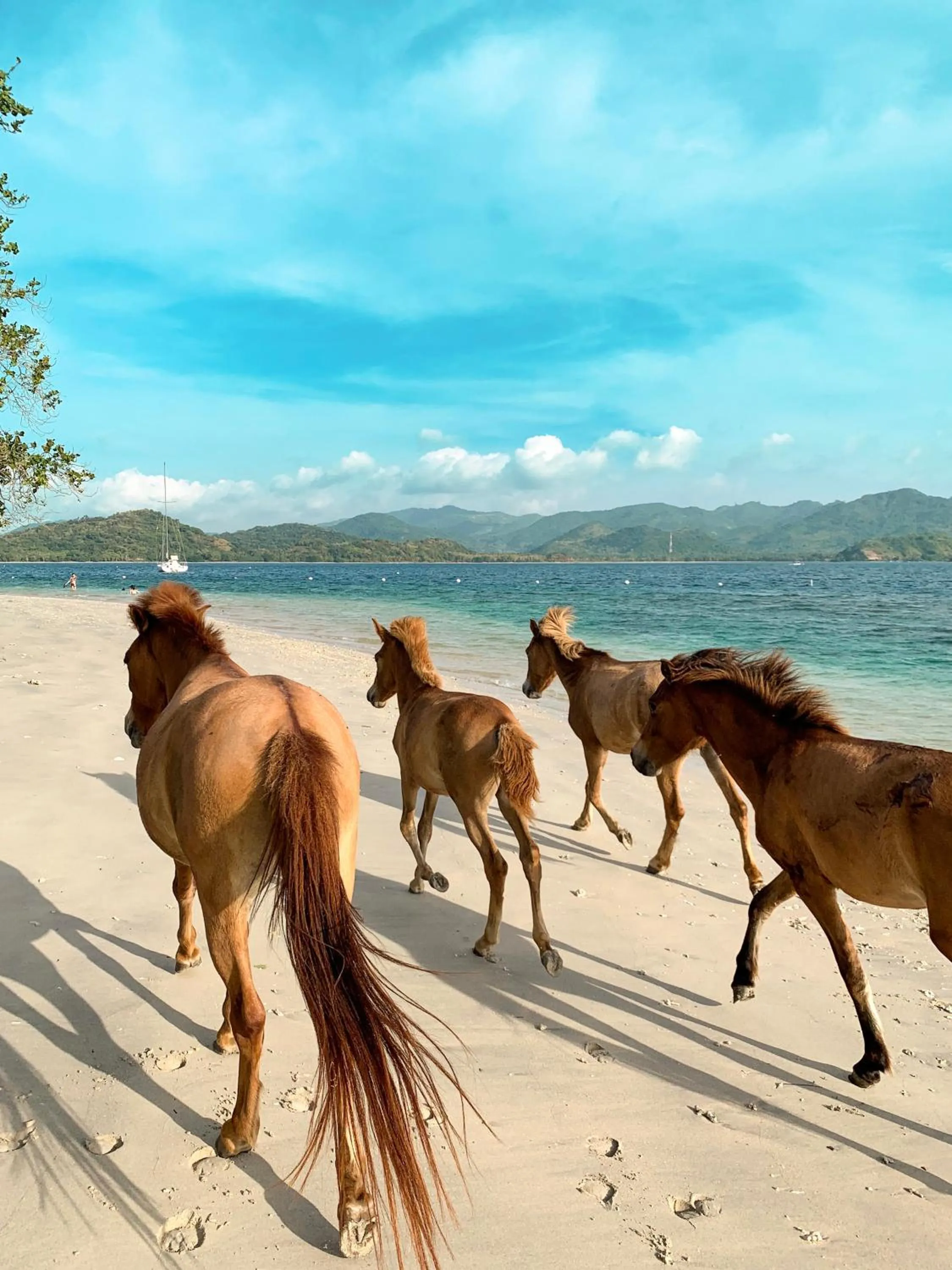 Gili Asahan Eco Lodge & Restaurant