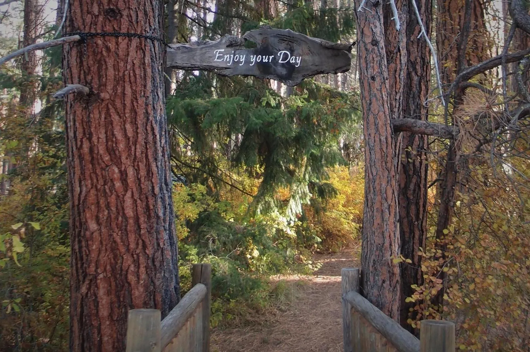 Natural landscape in Cold Springs Resort