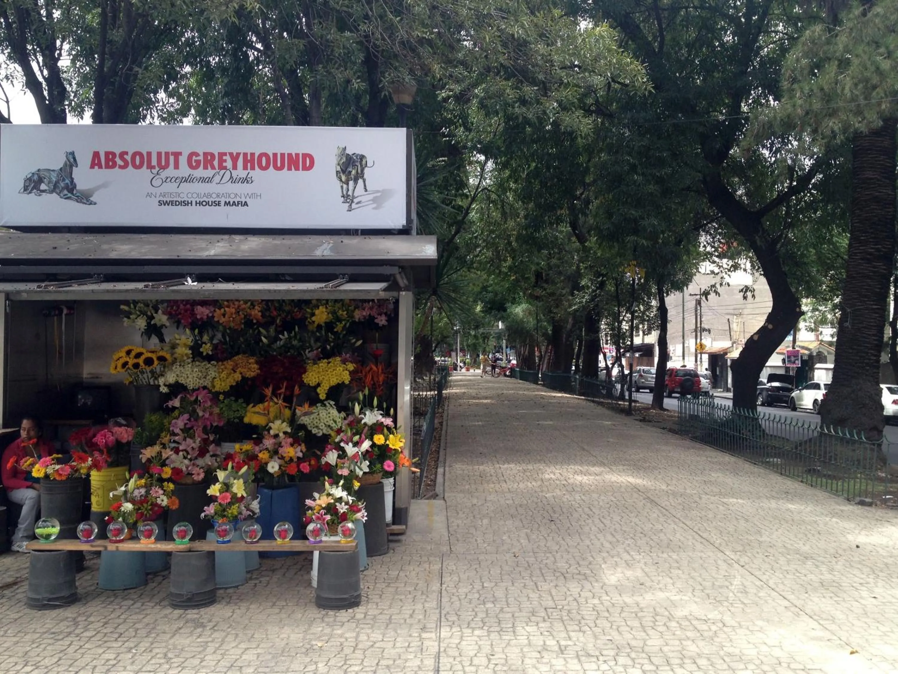 Neighbourhood in Casa Corp Boutique Suites in Condesa