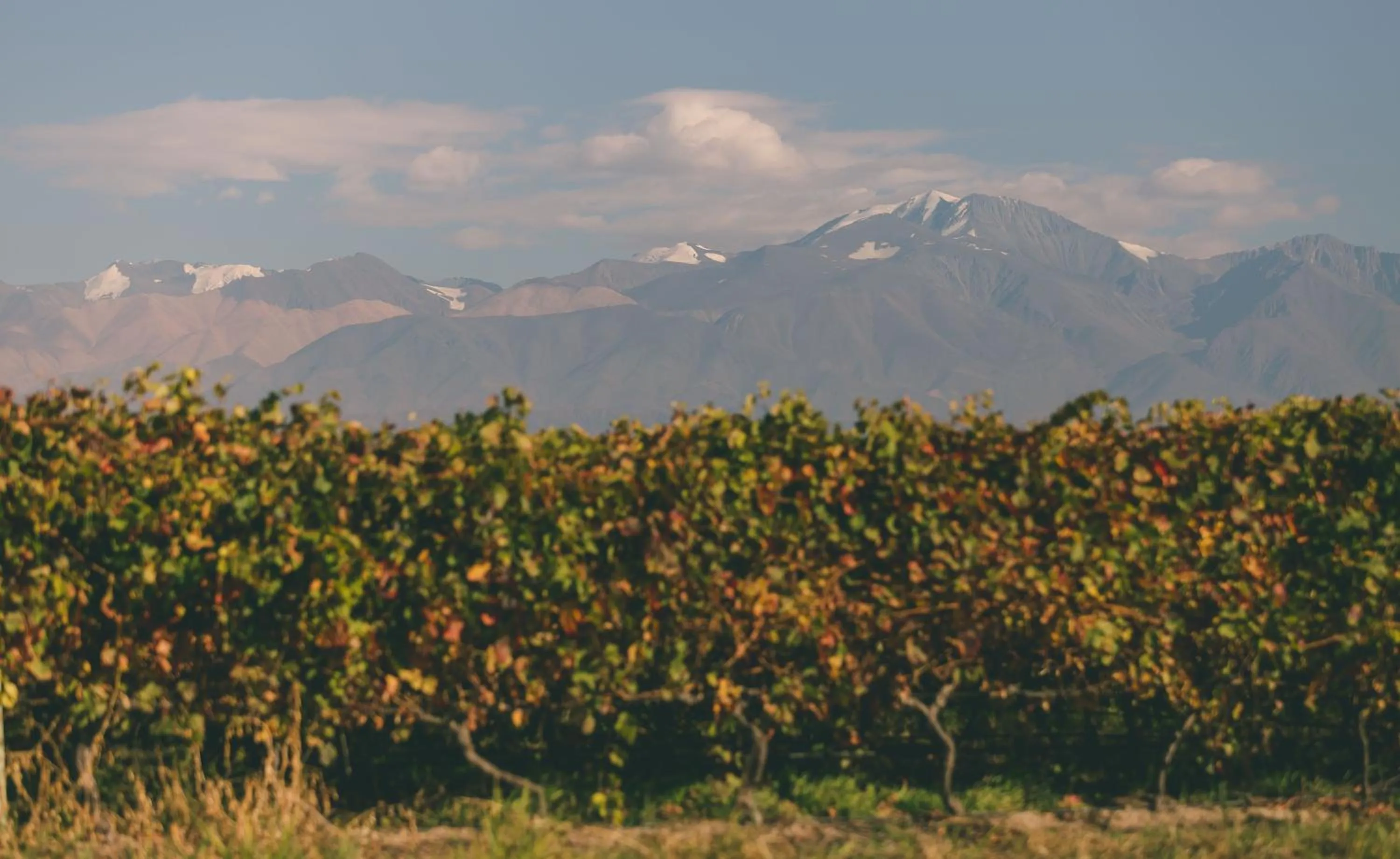 Nearby landmark in Rosell Boher Winery Lodge & Spa
