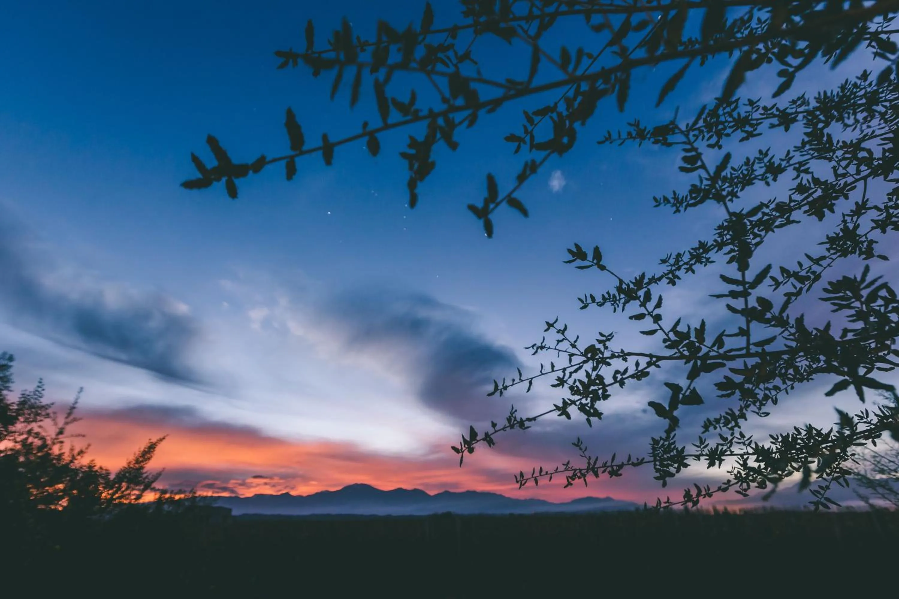 Natural landscape in Rosell Boher Winery Lodge & Spa