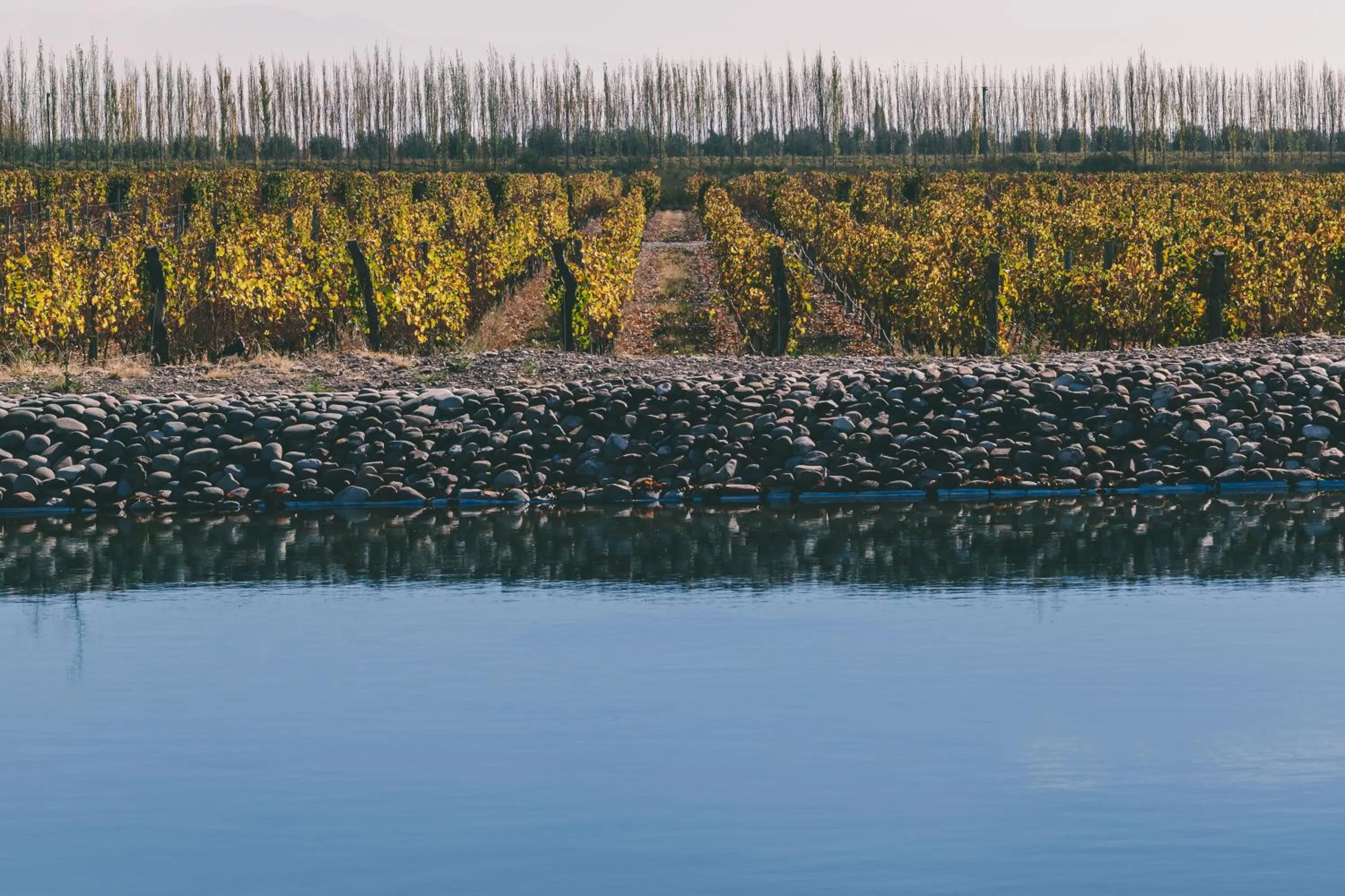 Day in Rosell Boher Winery Lodge & Spa