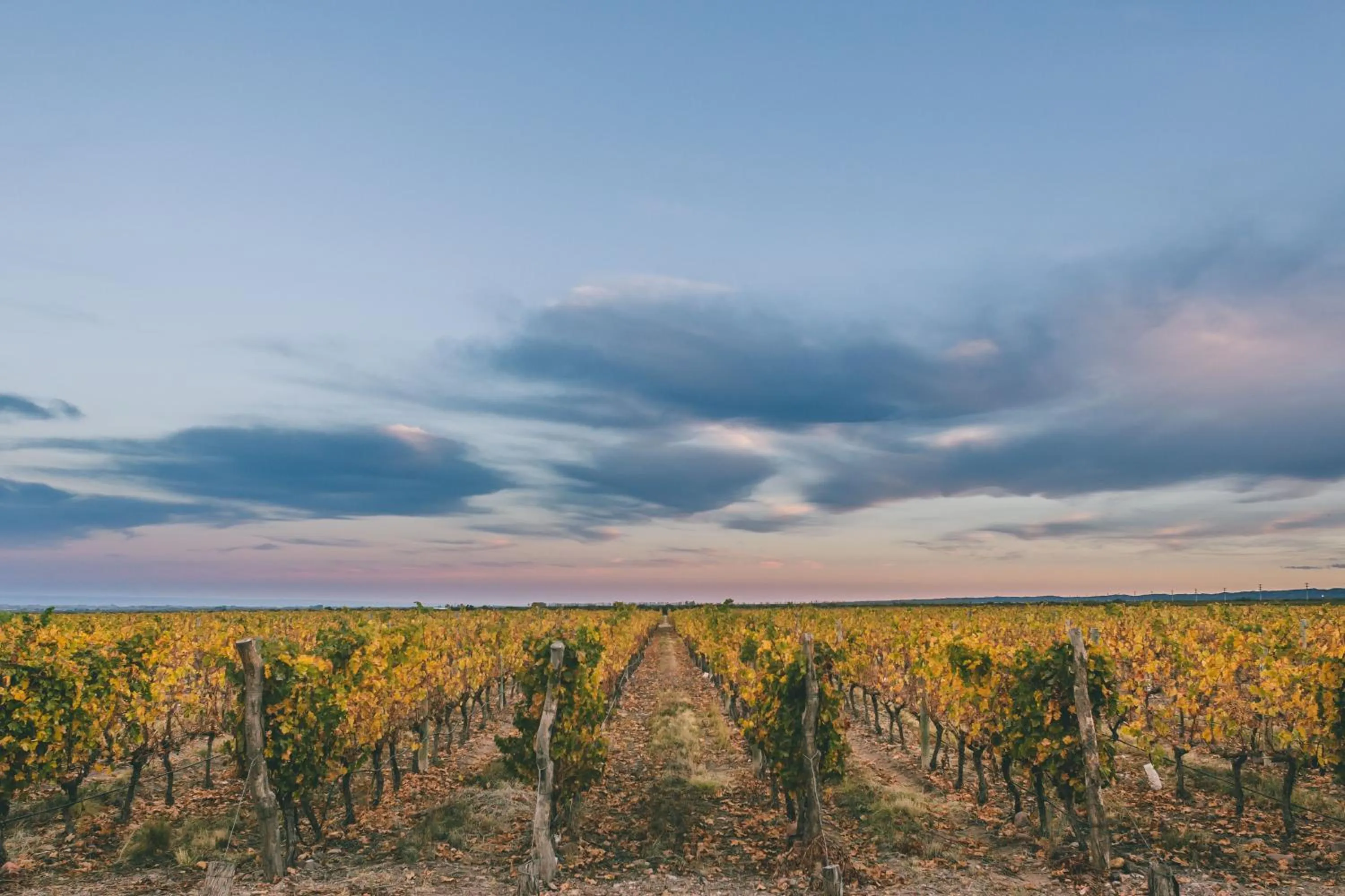 Day in Rosell Boher Winery Lodge & Spa