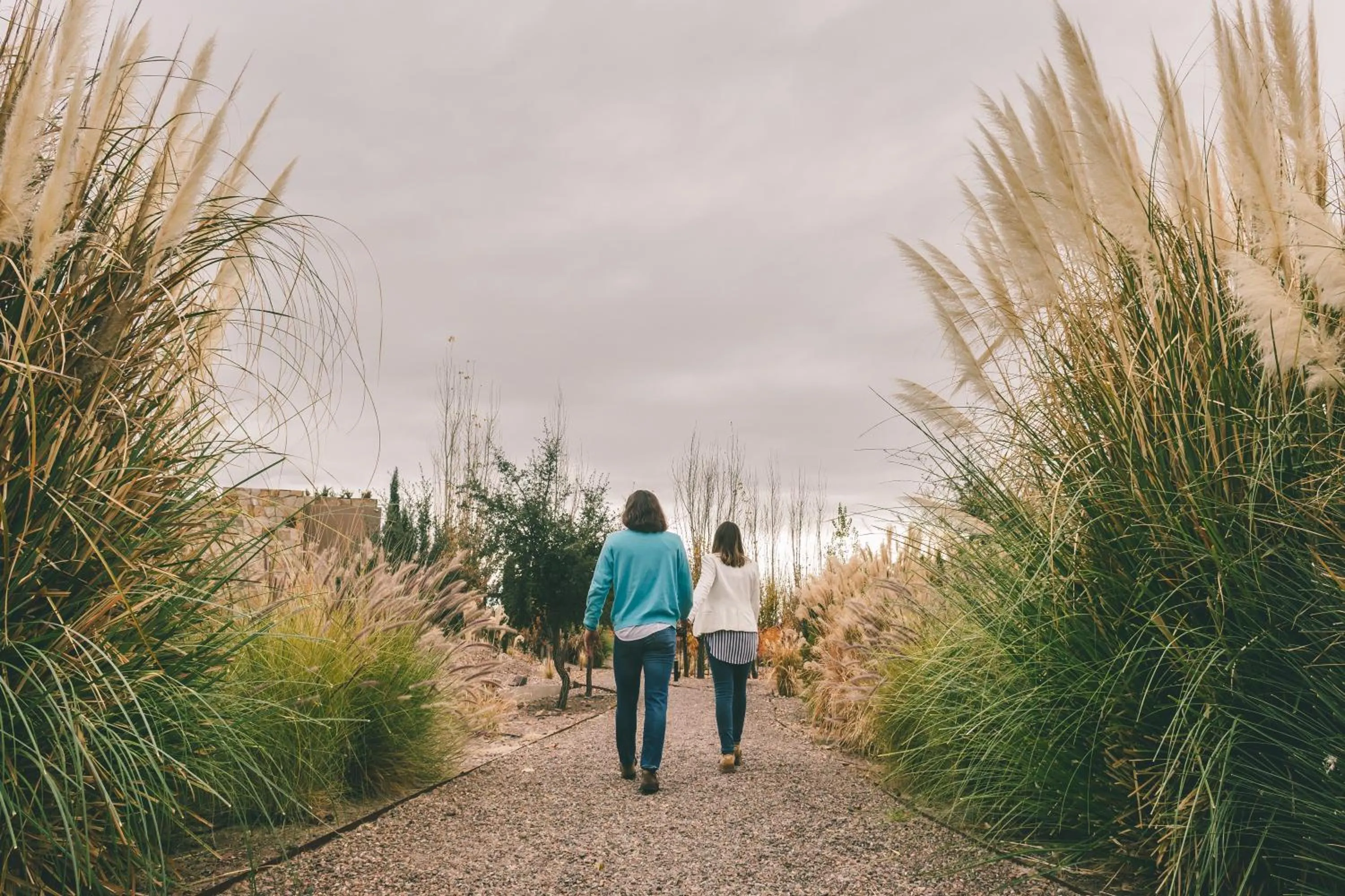 Spring in Rosell Boher Winery Lodge & Spa