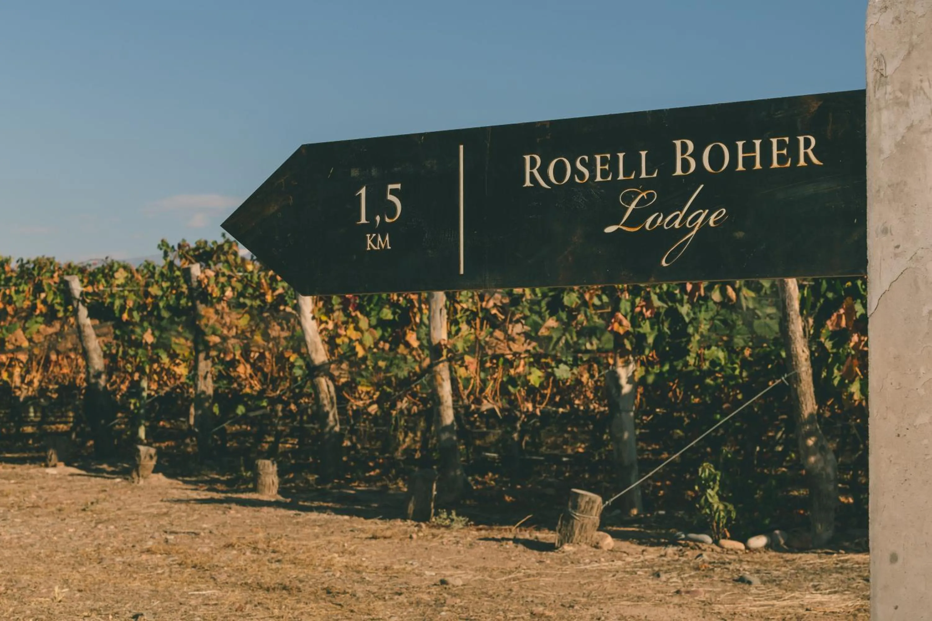 Day in Rosell Boher Winery Lodge & Spa